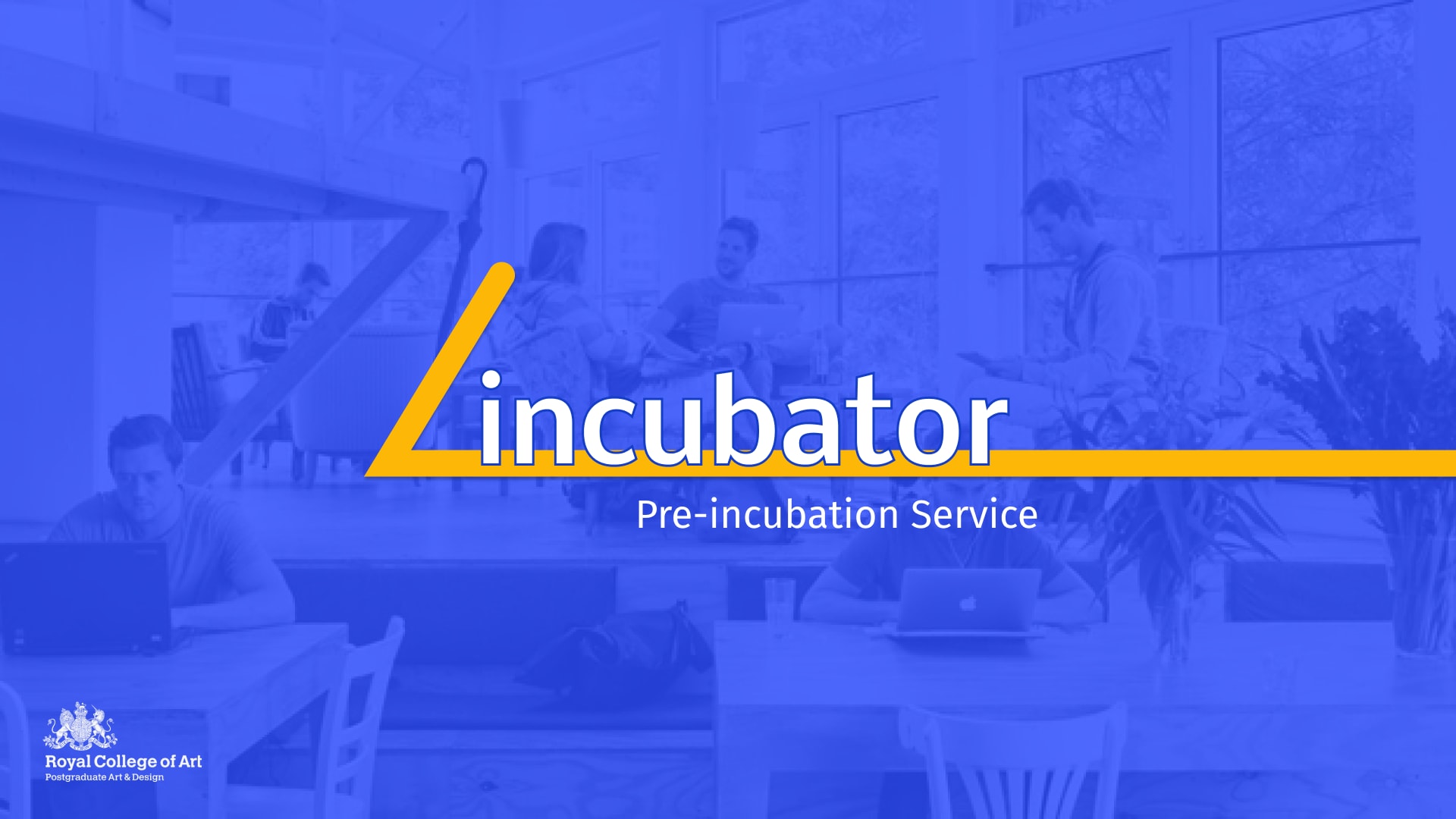 Lincubator, media item 1