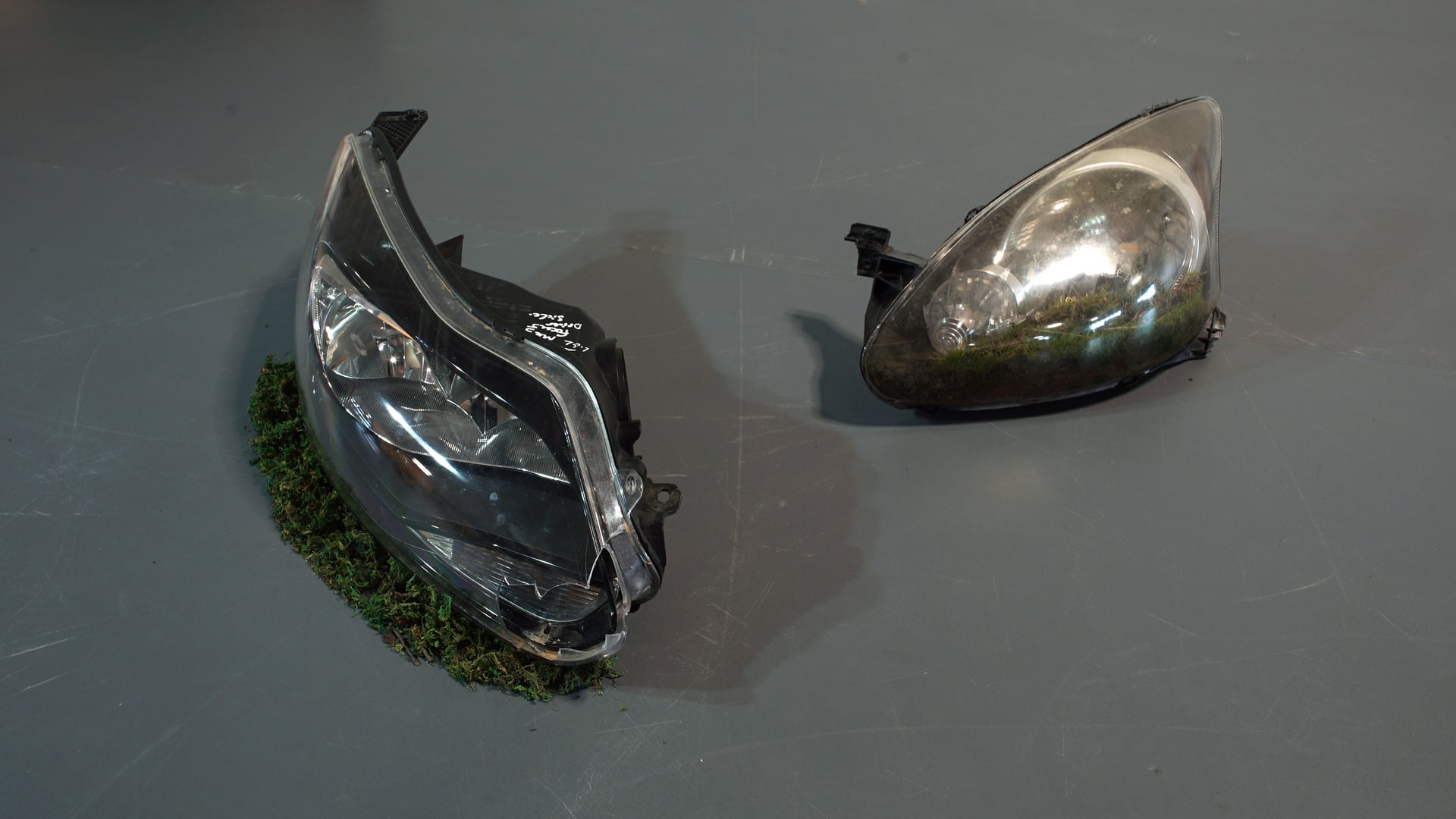 two disused car headlights, one is a live moss terrarium, the other is placed on a bed of dry, dead moss.