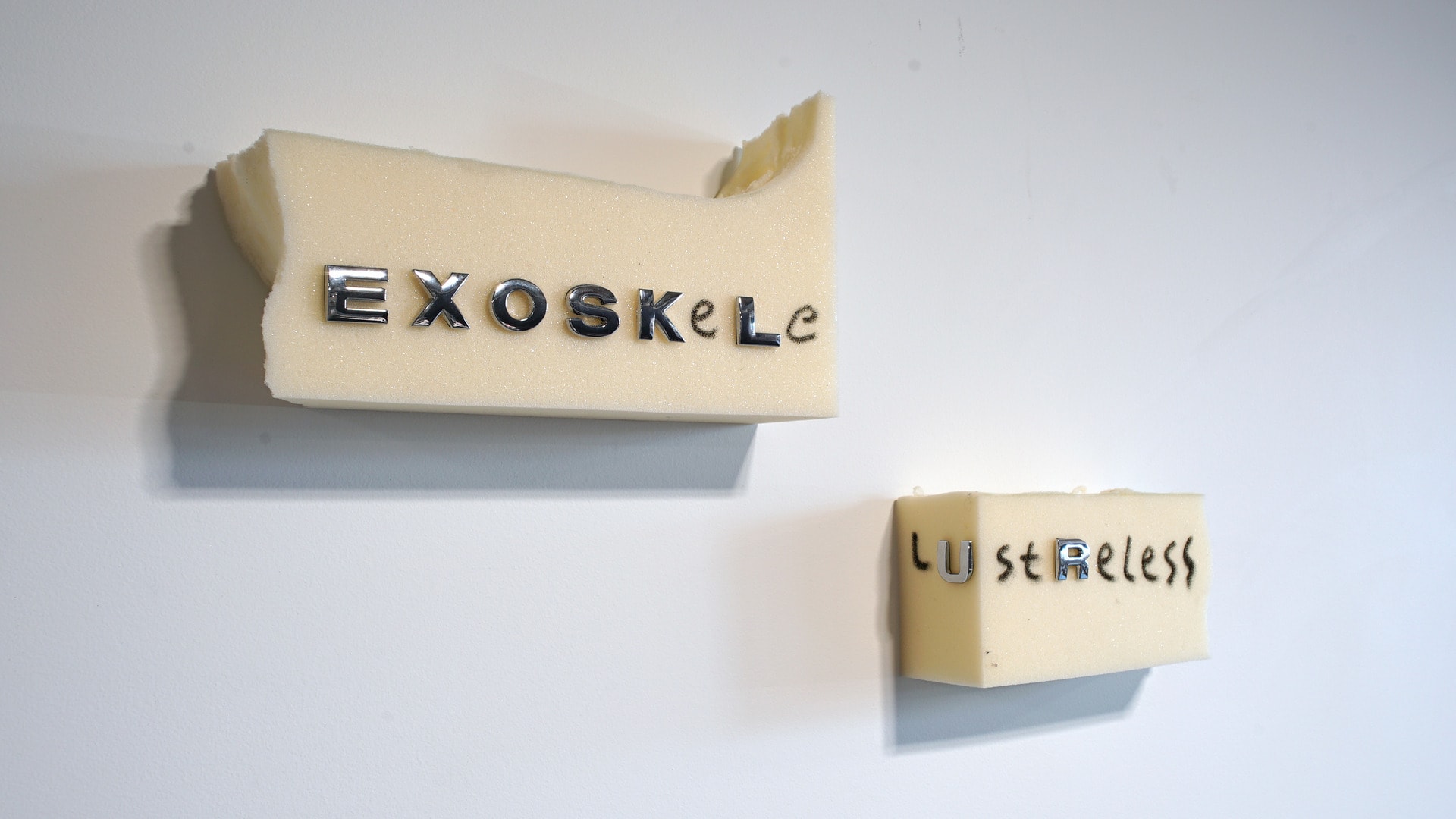 Two pieces of foam are displayed on a wall, one spells the word 'exoskeleton' in metal lettering and ink, the other 'lustreless'