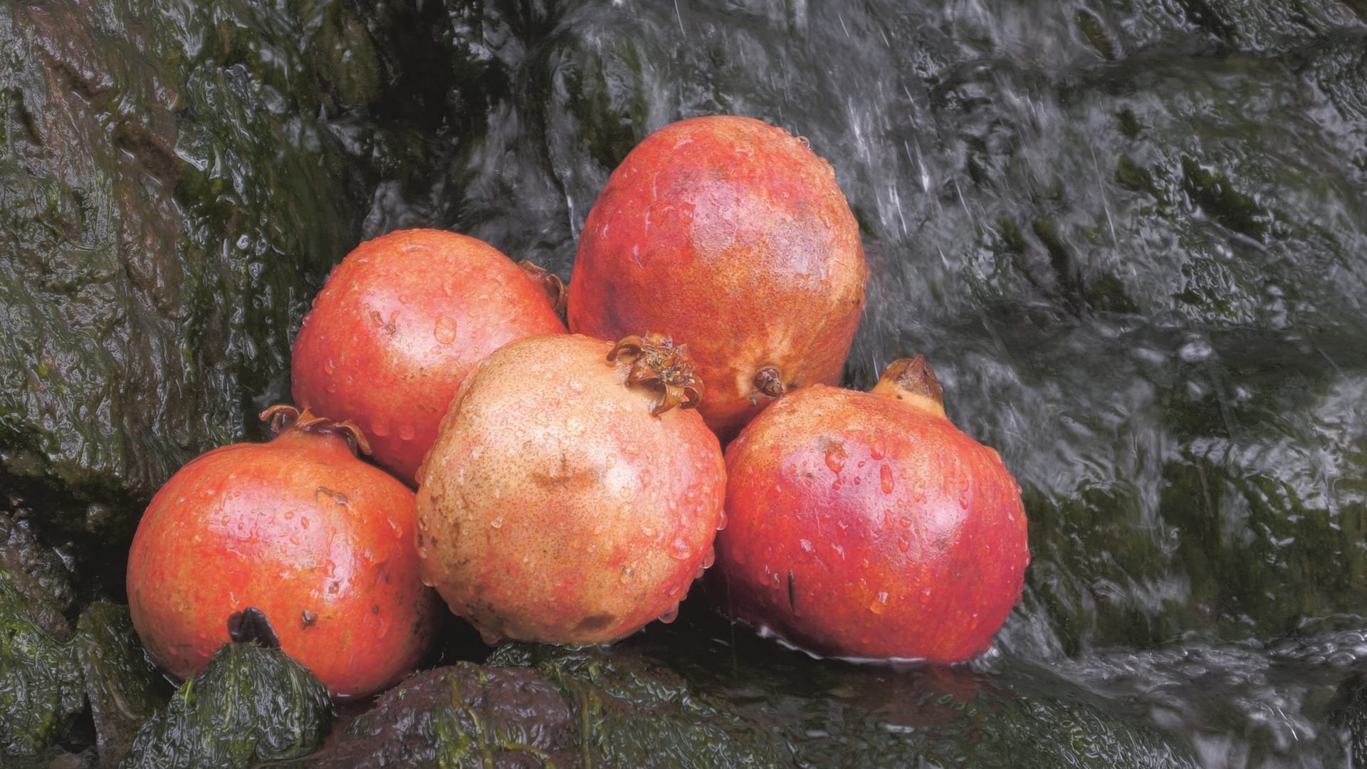 Pomegranates are piled on rocks. Natural stream falls behind them.