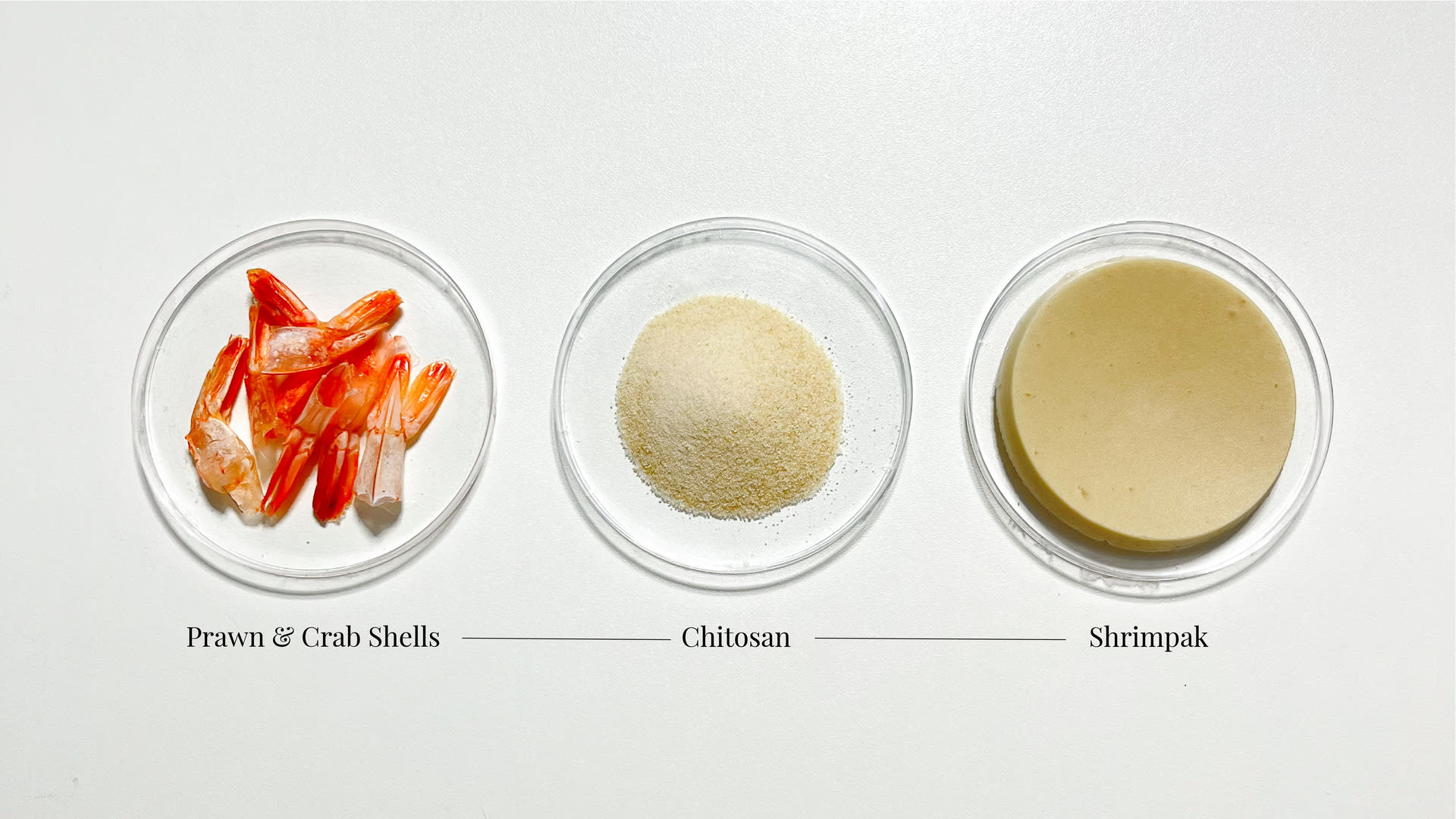 Shrimp & Crab waste to biomaterial