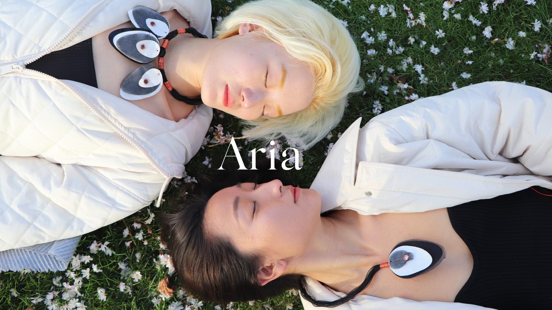 Cover Aria