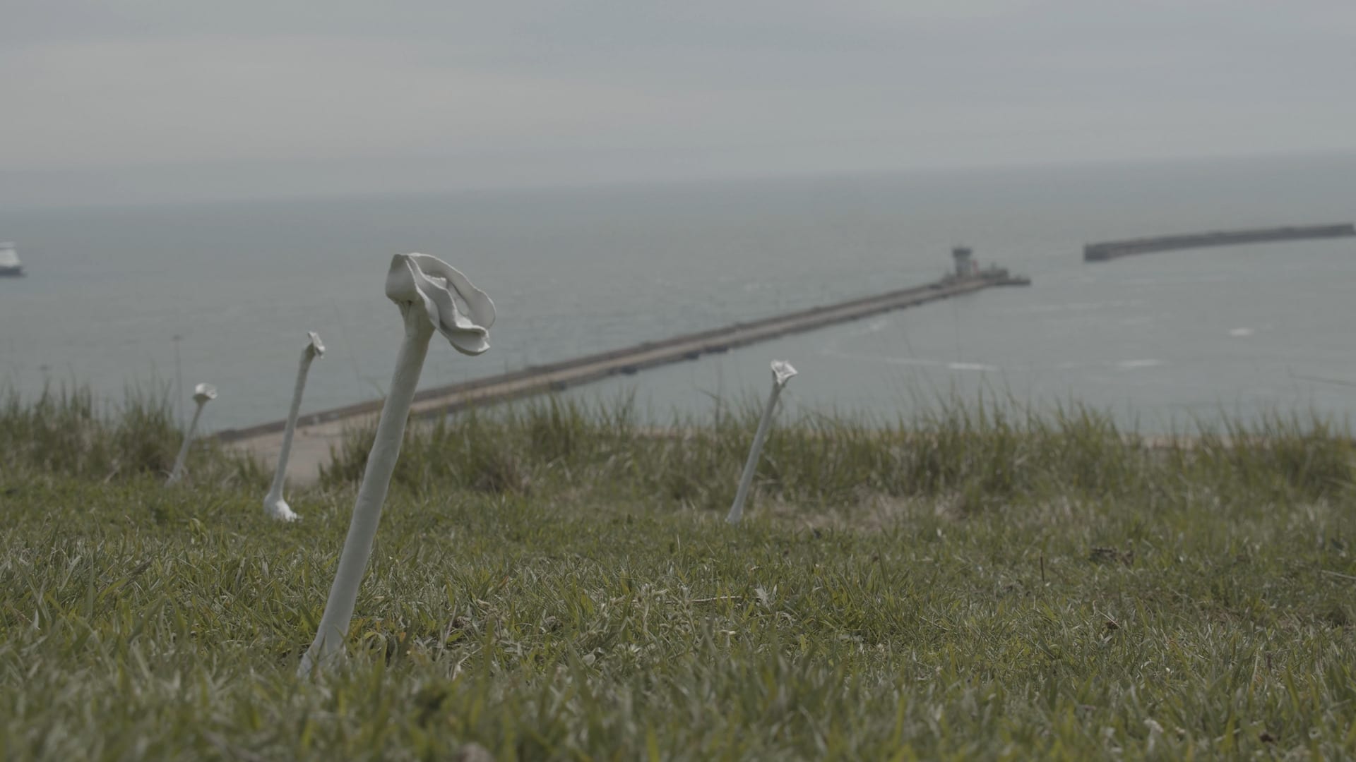 This is a picture taken from the video featuring the installation play at the dover port.