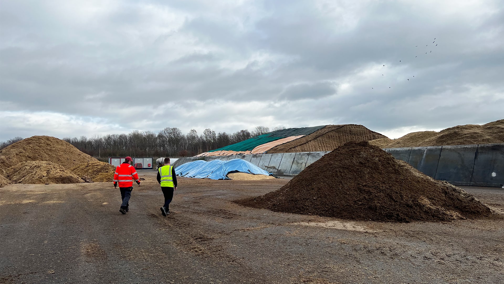 Assessing the feasibility of various crop residues on a site visit