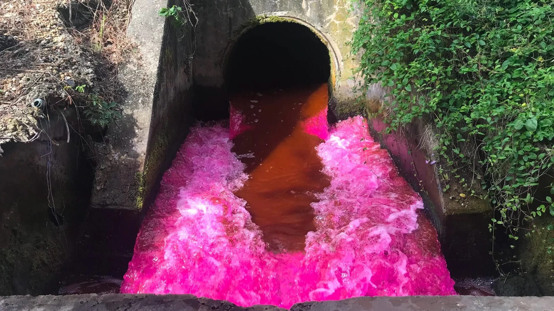 Neon Waterways