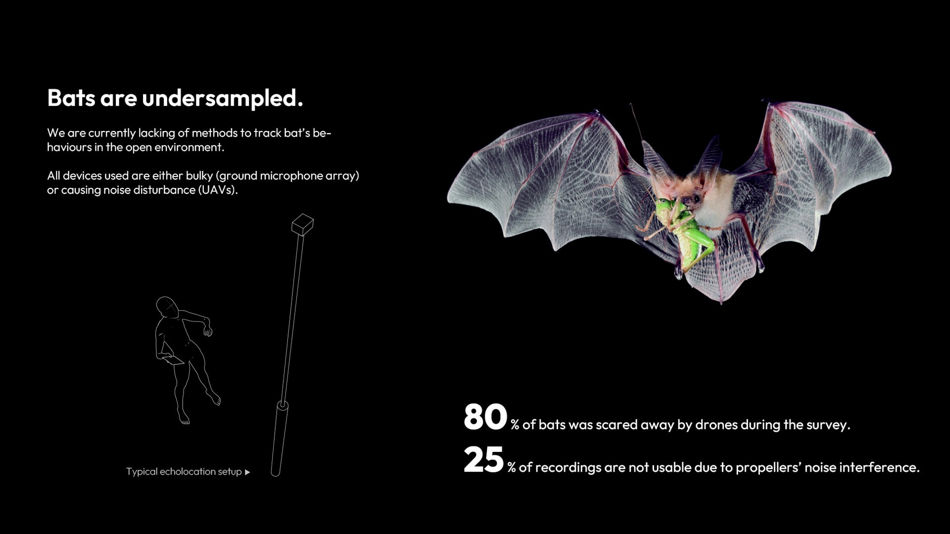 Bats are extremely undersampled especially if ecologists use drones to do the survey