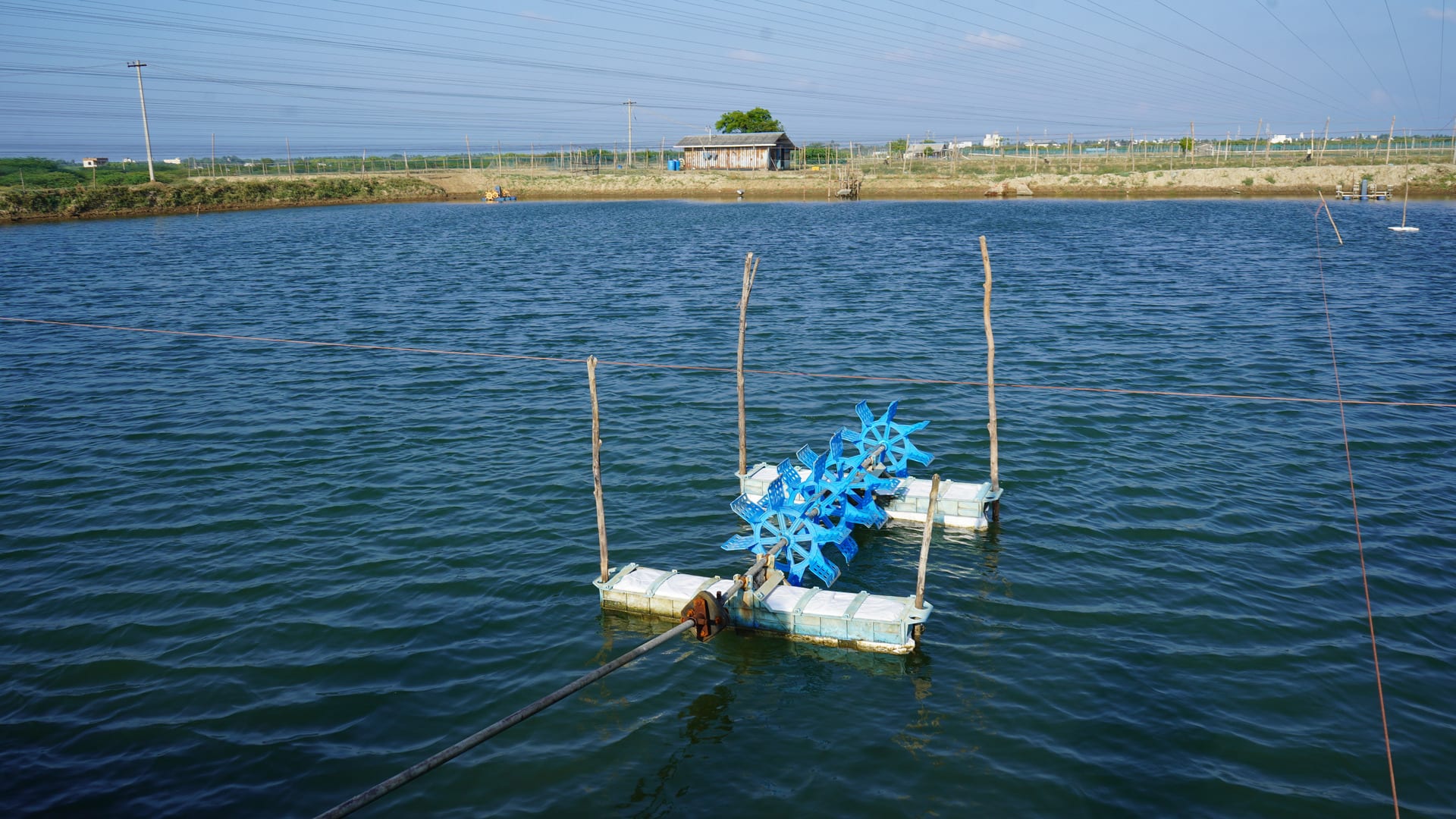 Image of shrimp farm in India. Water aerator in focus. 