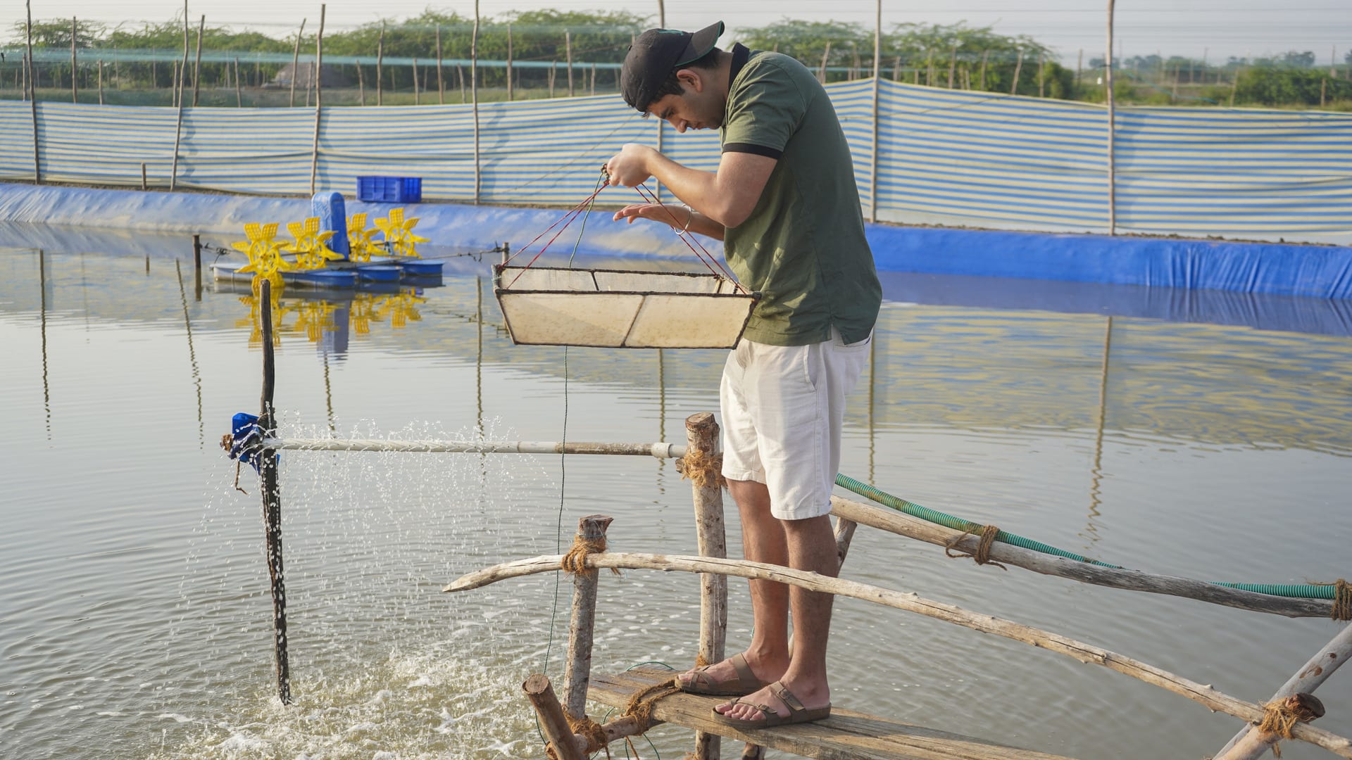 Sachin Holding a inspection net to inspect the shrimp on a shrimp pond. 