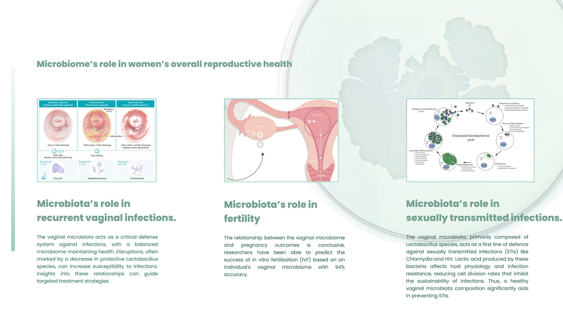 Microbiome’s role in women’s overall reproductive health