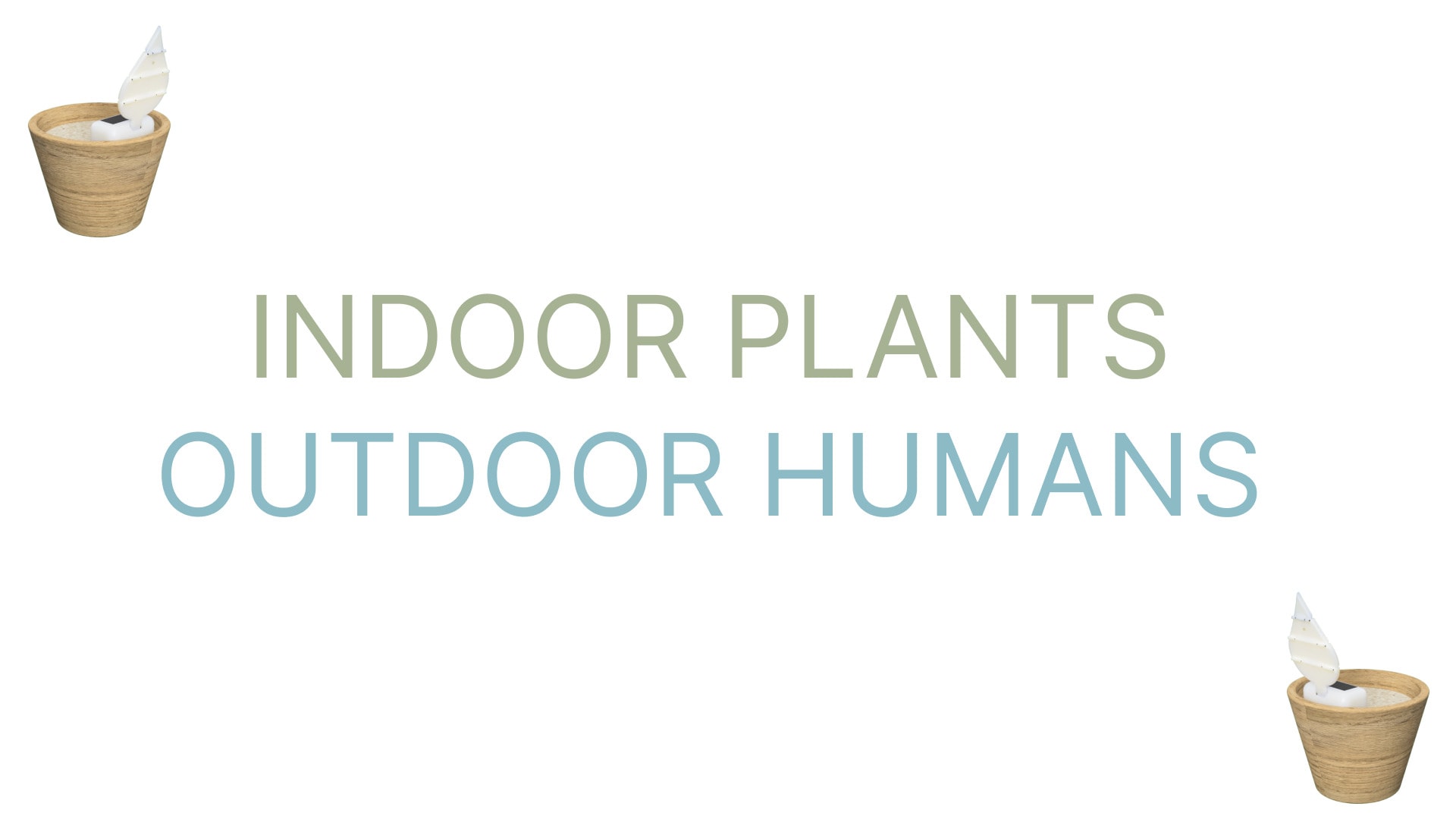 plant hero slogan