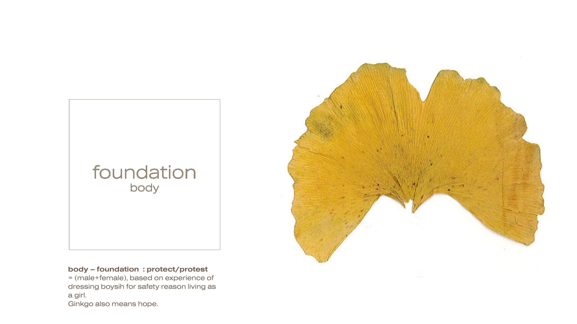 Foundation : Body