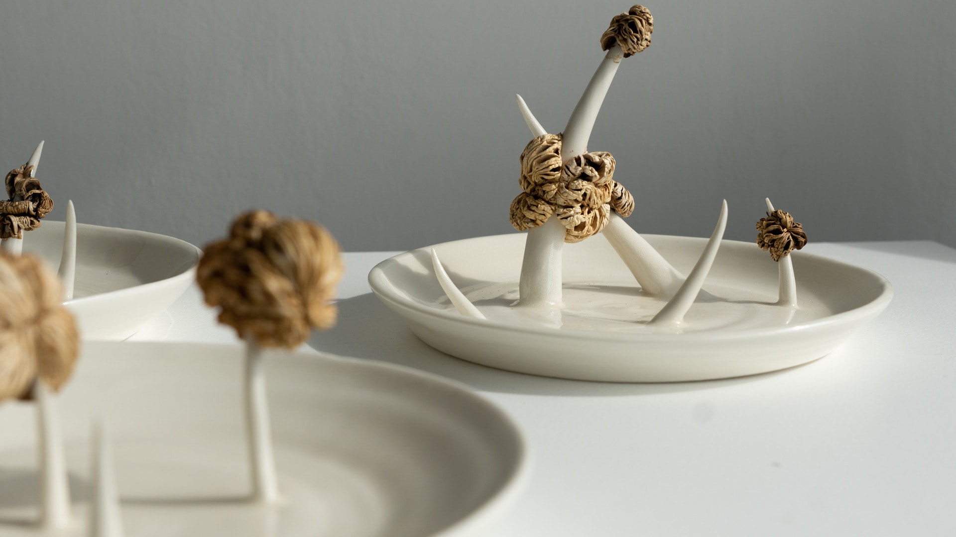 mushrooms on the dish 2