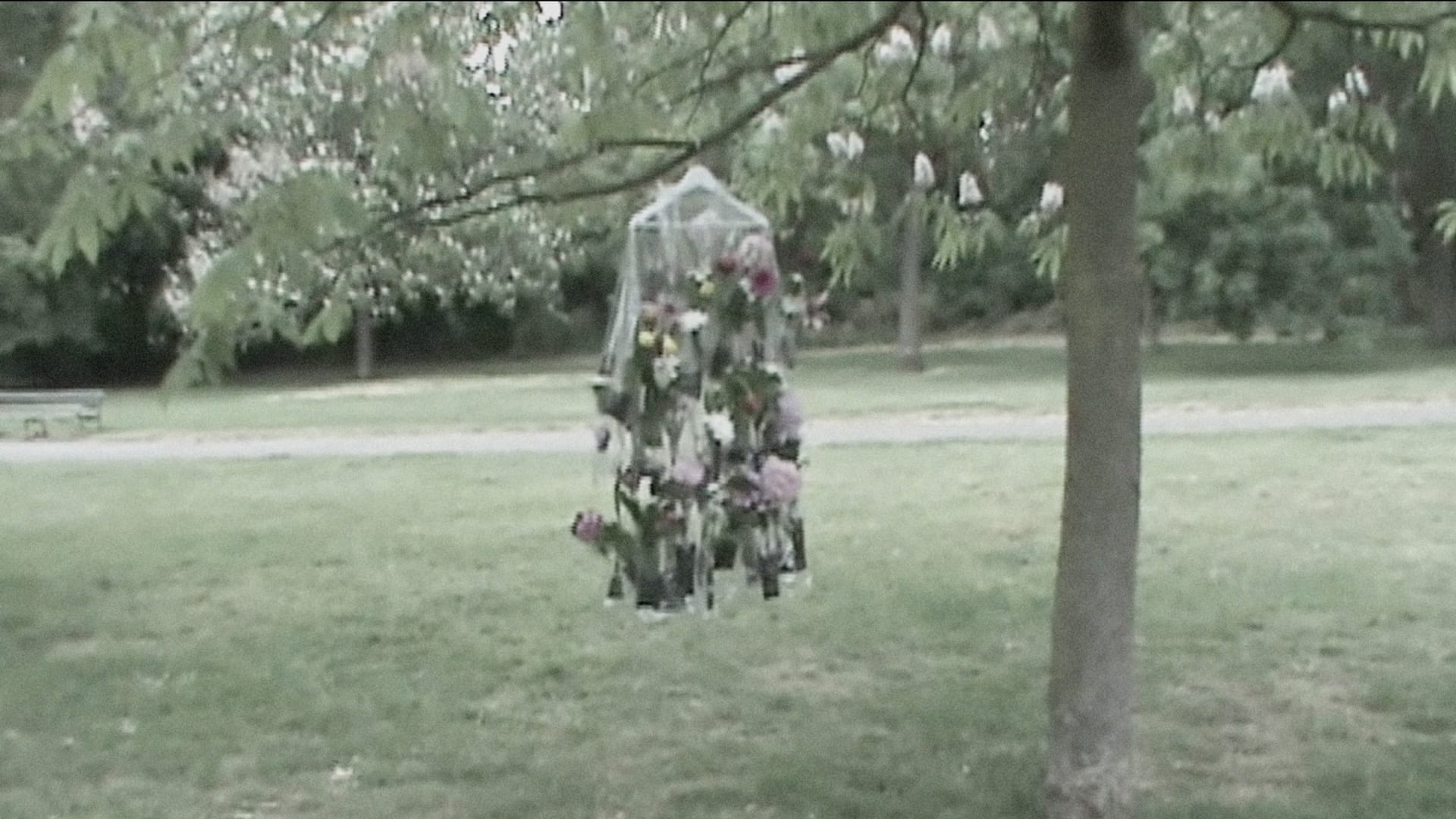 Installation hanging from a tree