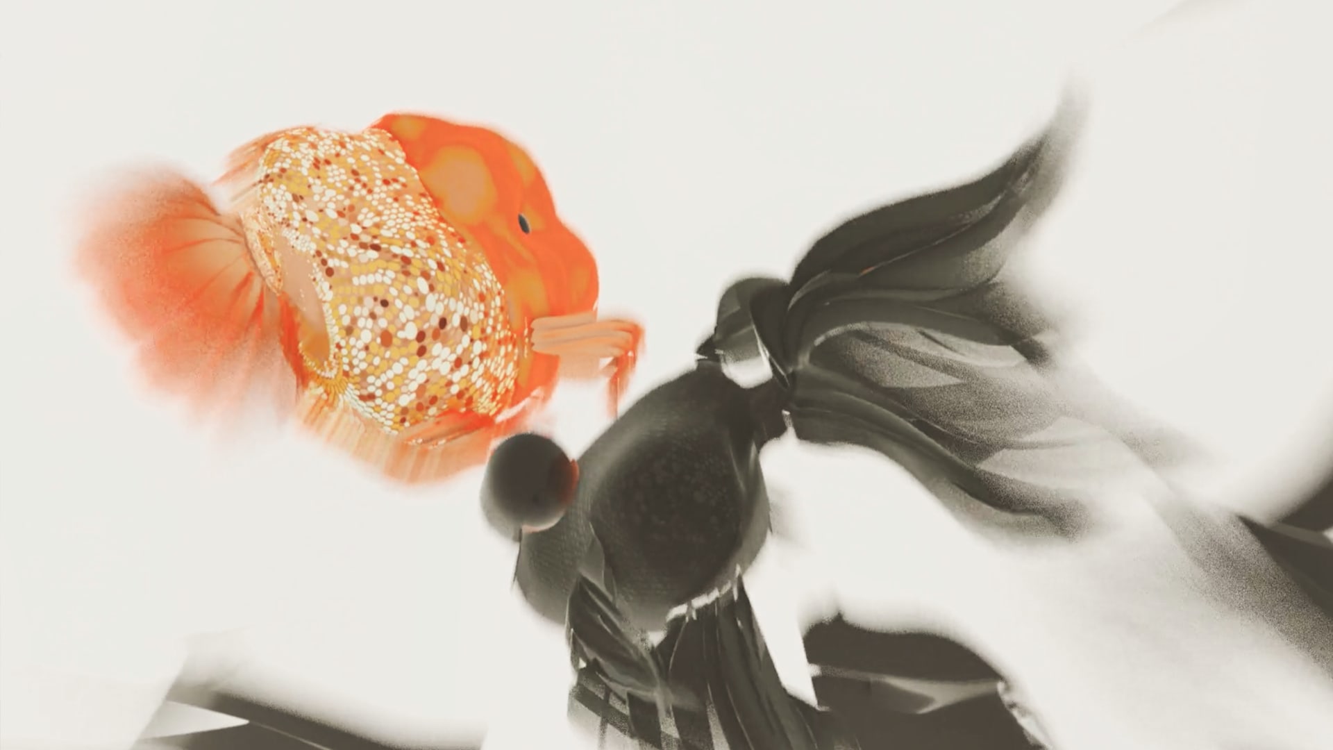 2 goldfishs