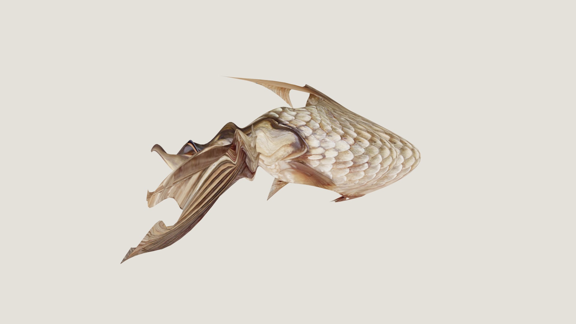 a fish