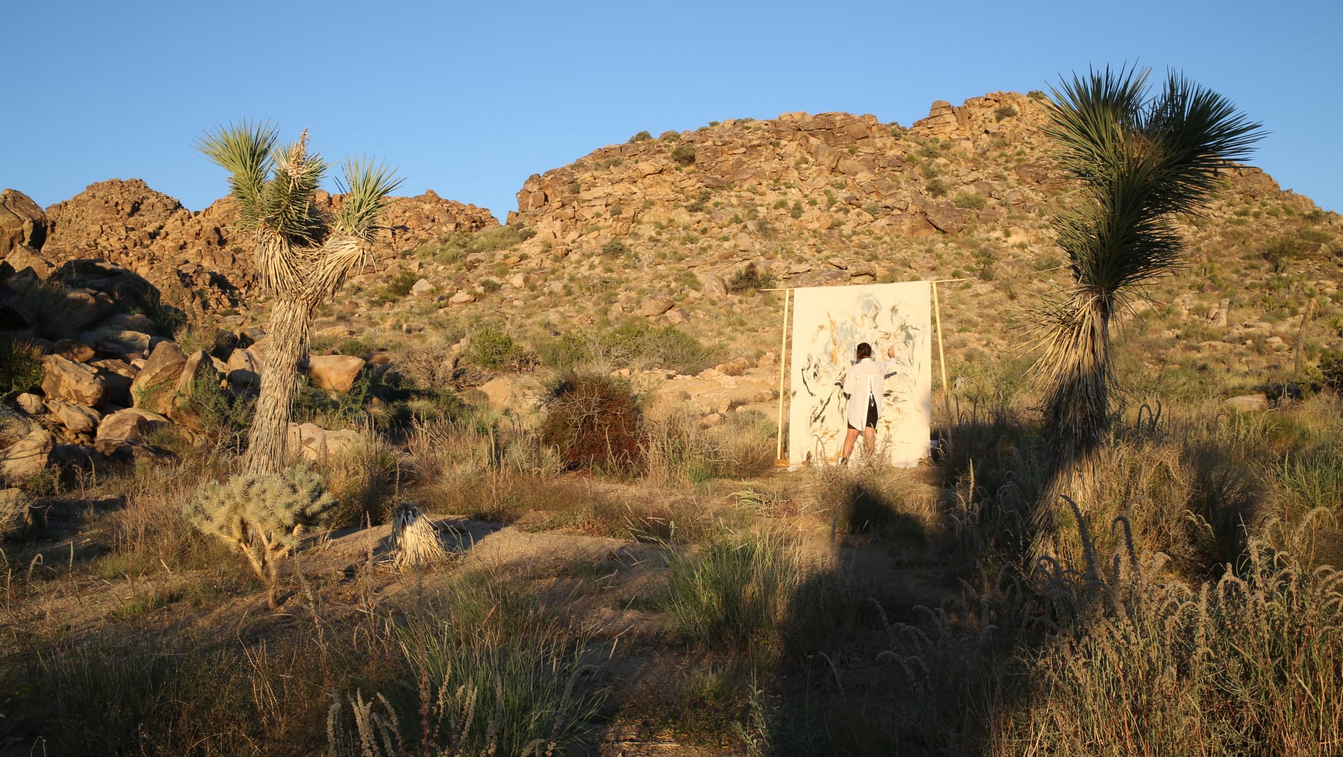 Julia Bennett painting a large canvas held by a standing wood frame in Joshua tree, saturated in gold light just before sunset.
