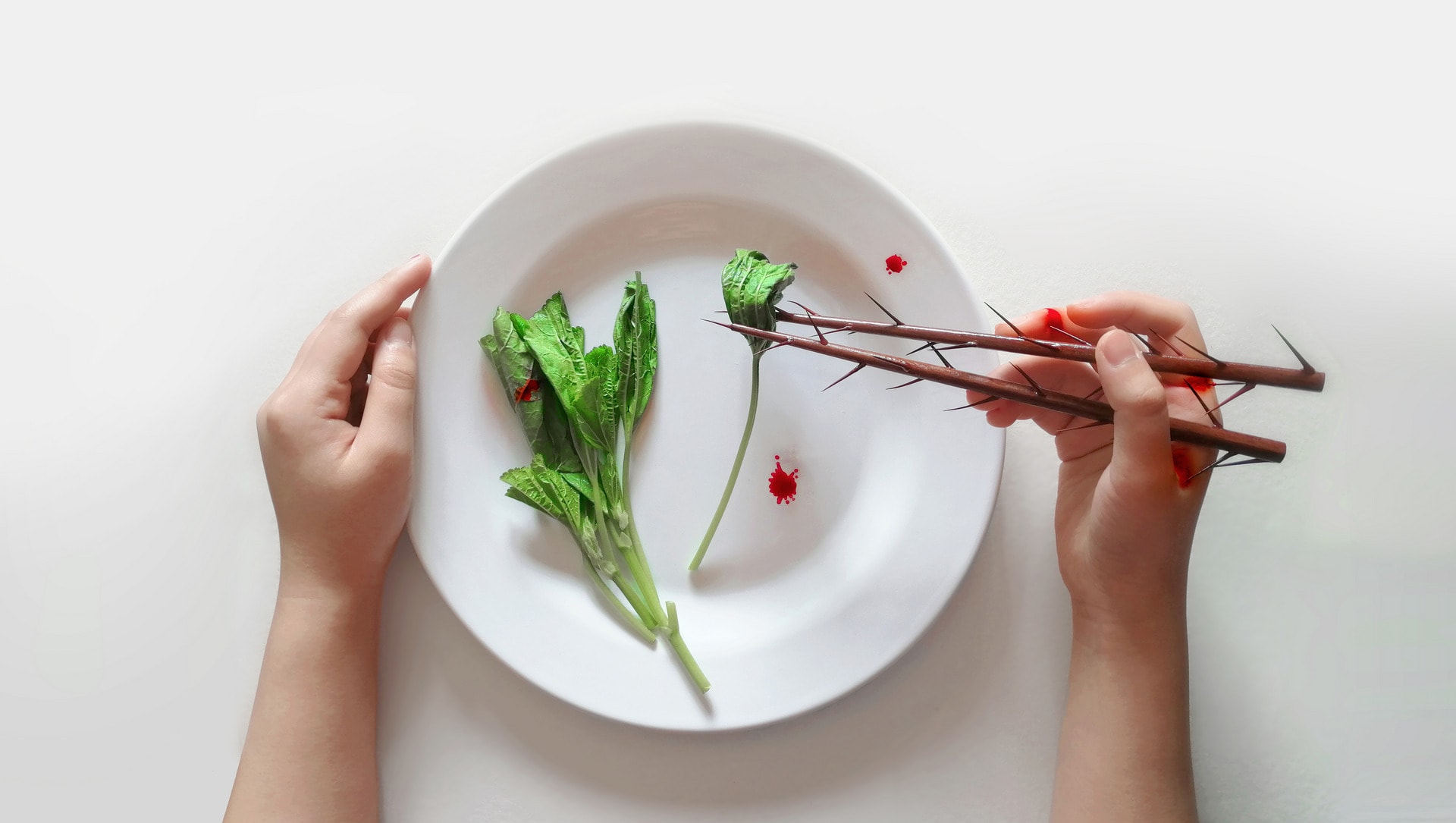 Diet trainer — Chopsticks