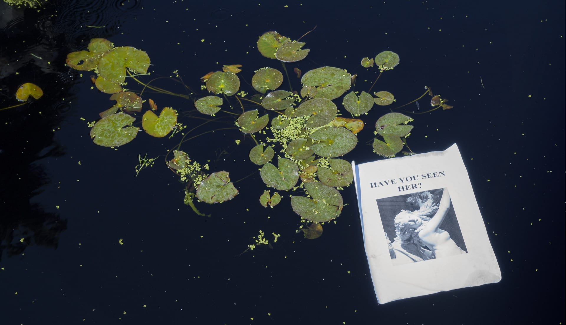 This is a photograph of a missing person poster in the ponds.