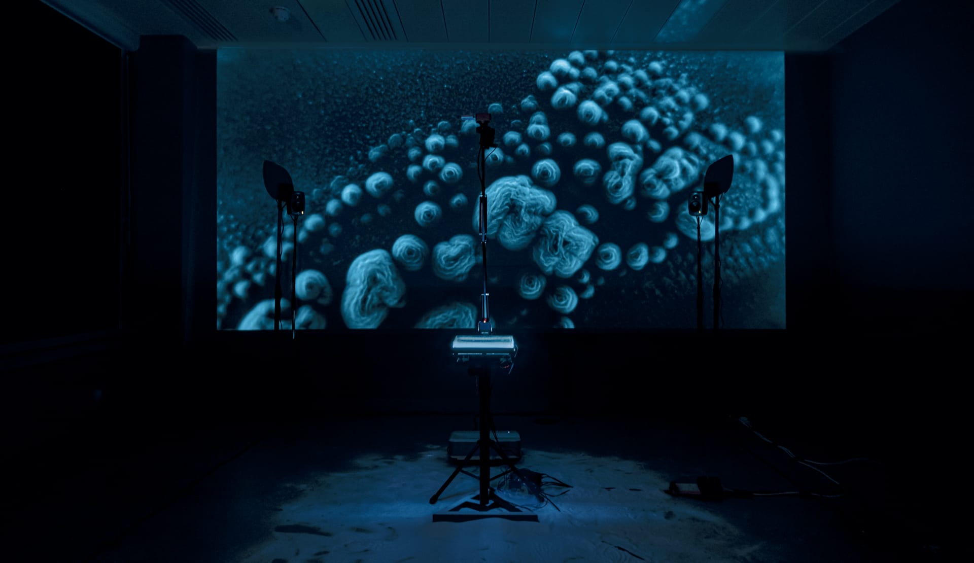 audiovisual installation in the middle of a room, with projection in the front showing organic forms of material