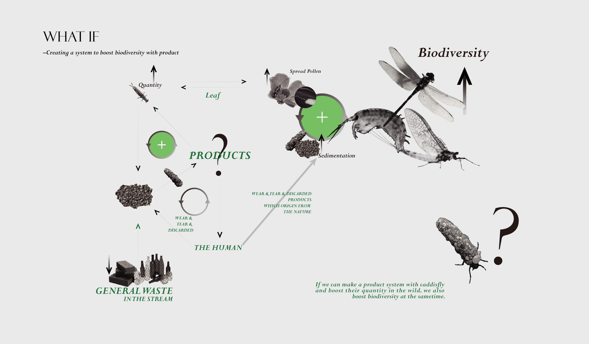 Can we takes caddisflies into production to helps biodiversity?