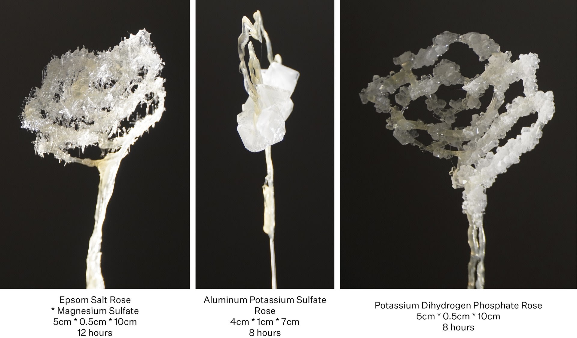 Crystal Growth Experiment 01