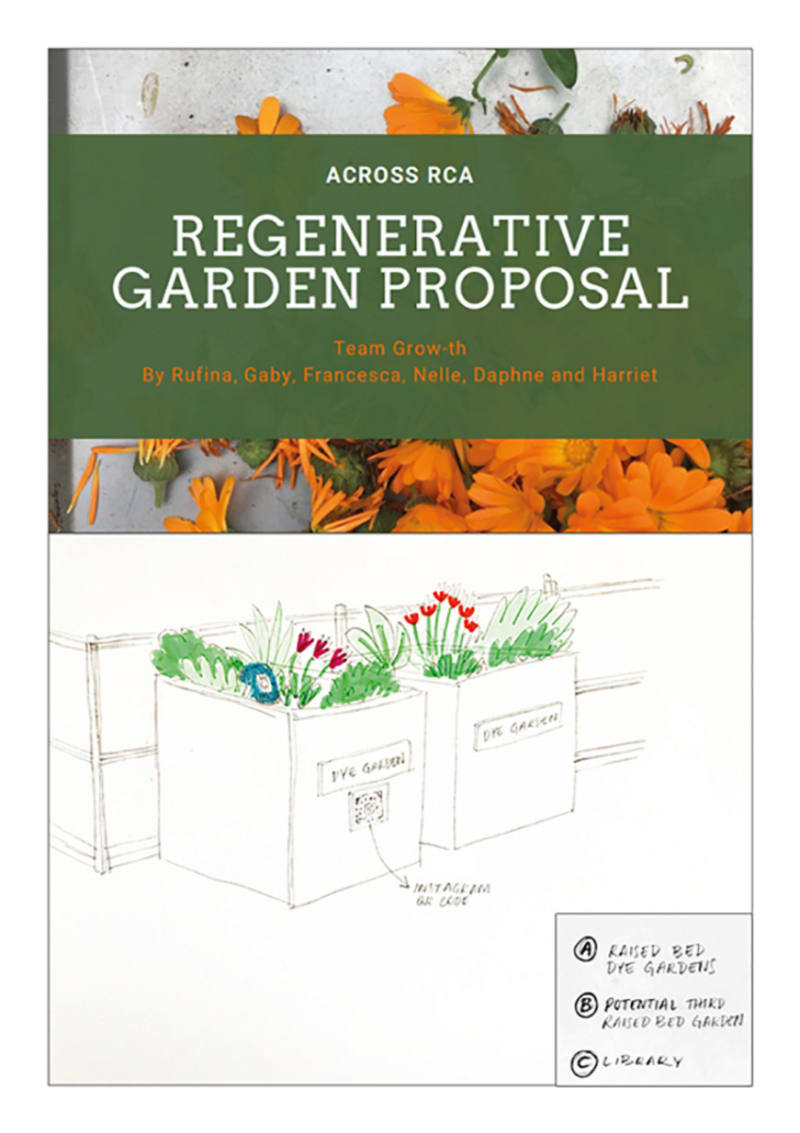 Regenerative Dye Garden