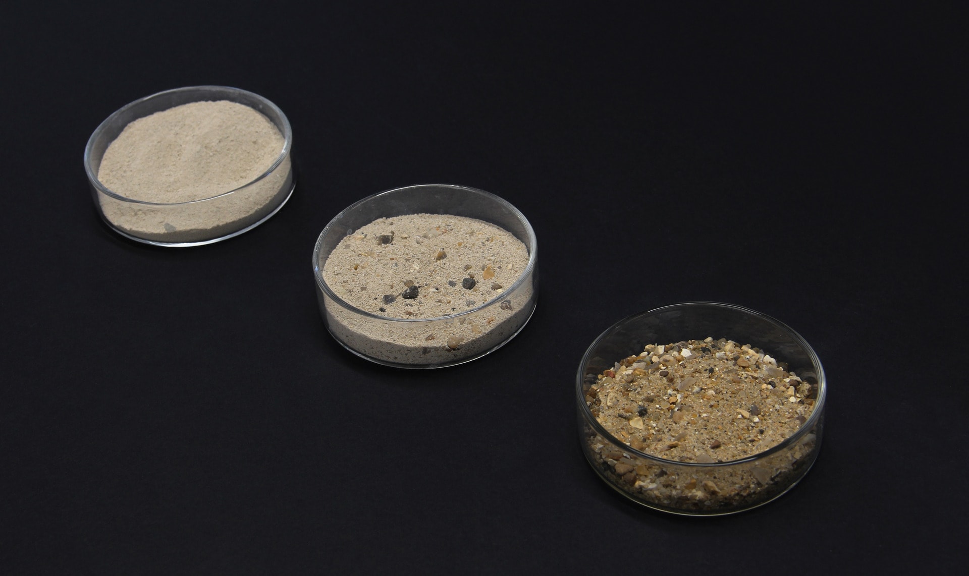 Sand, oyster shell and their mixtures in petri dishes
