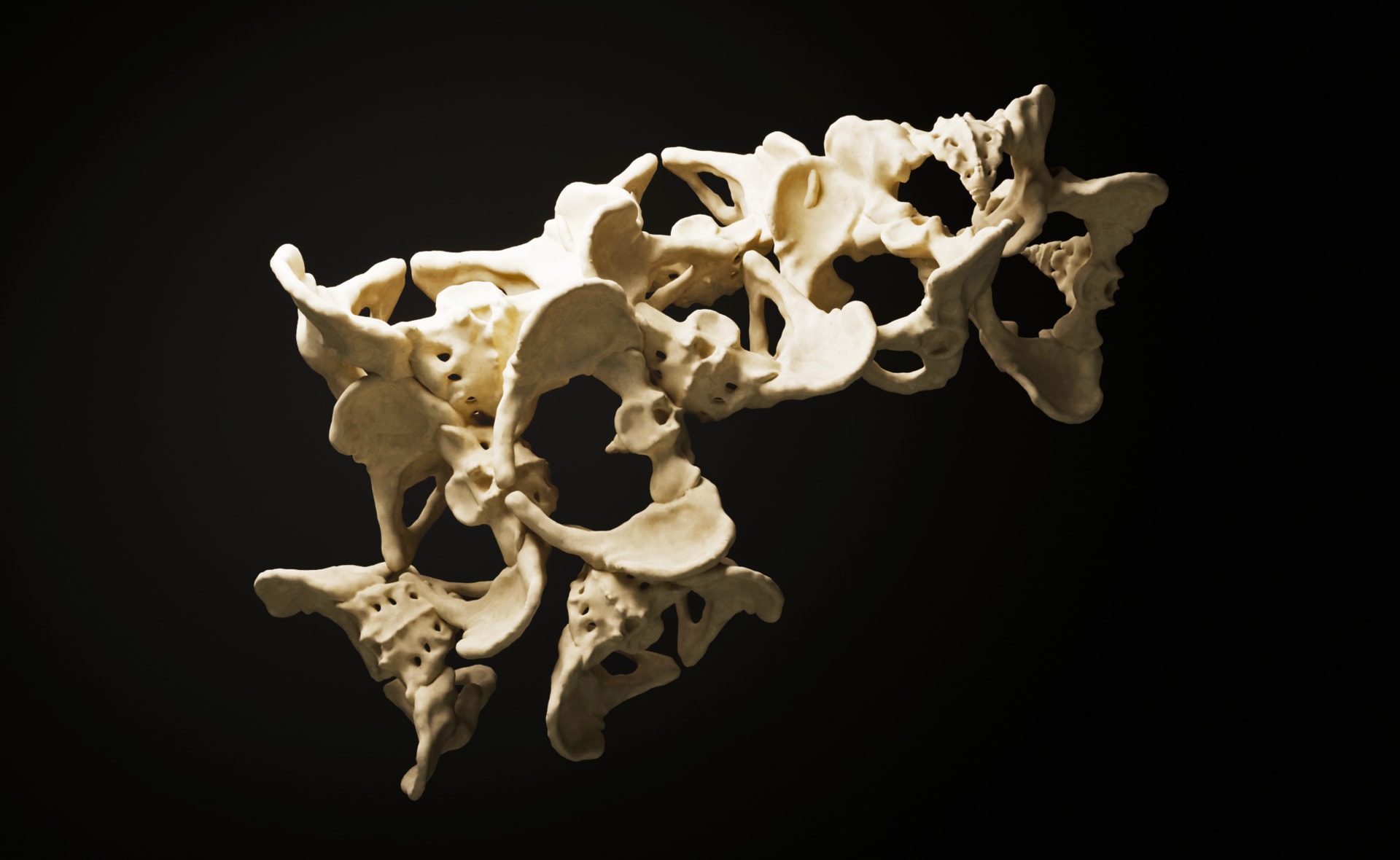 Digital render of human pelvis bones arranged in the manner of an orchid spray