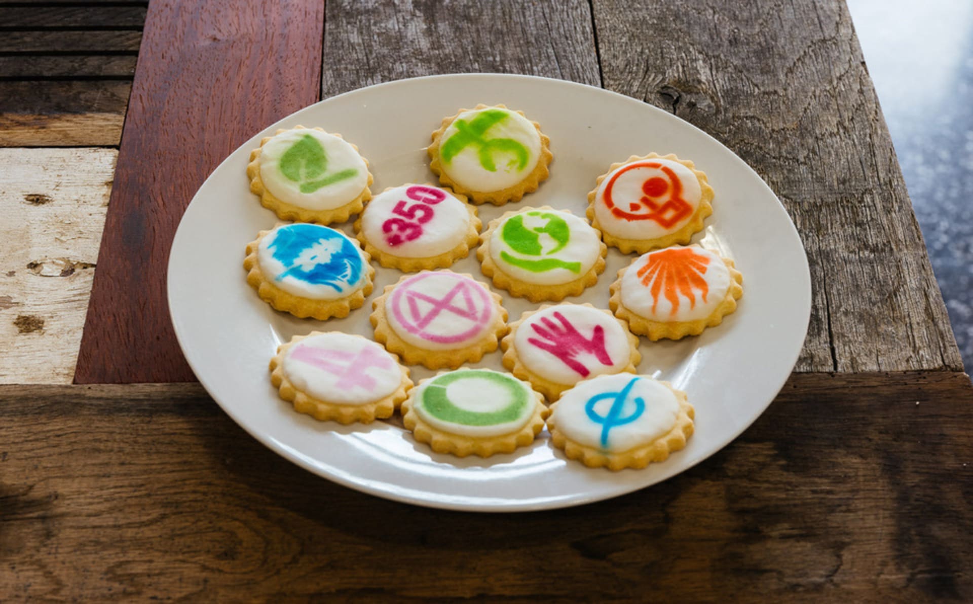 A plate with 12 protest cookies each with a different logos of environmental organisations, stencilled in bright colour.