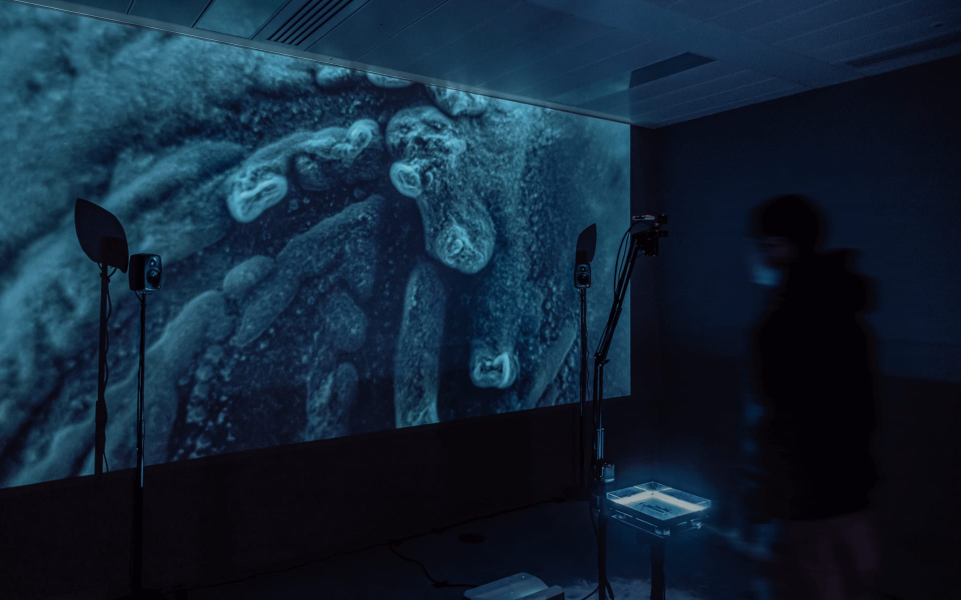 an audience standing at the installation, looking at the acrylic plate with blue lighting