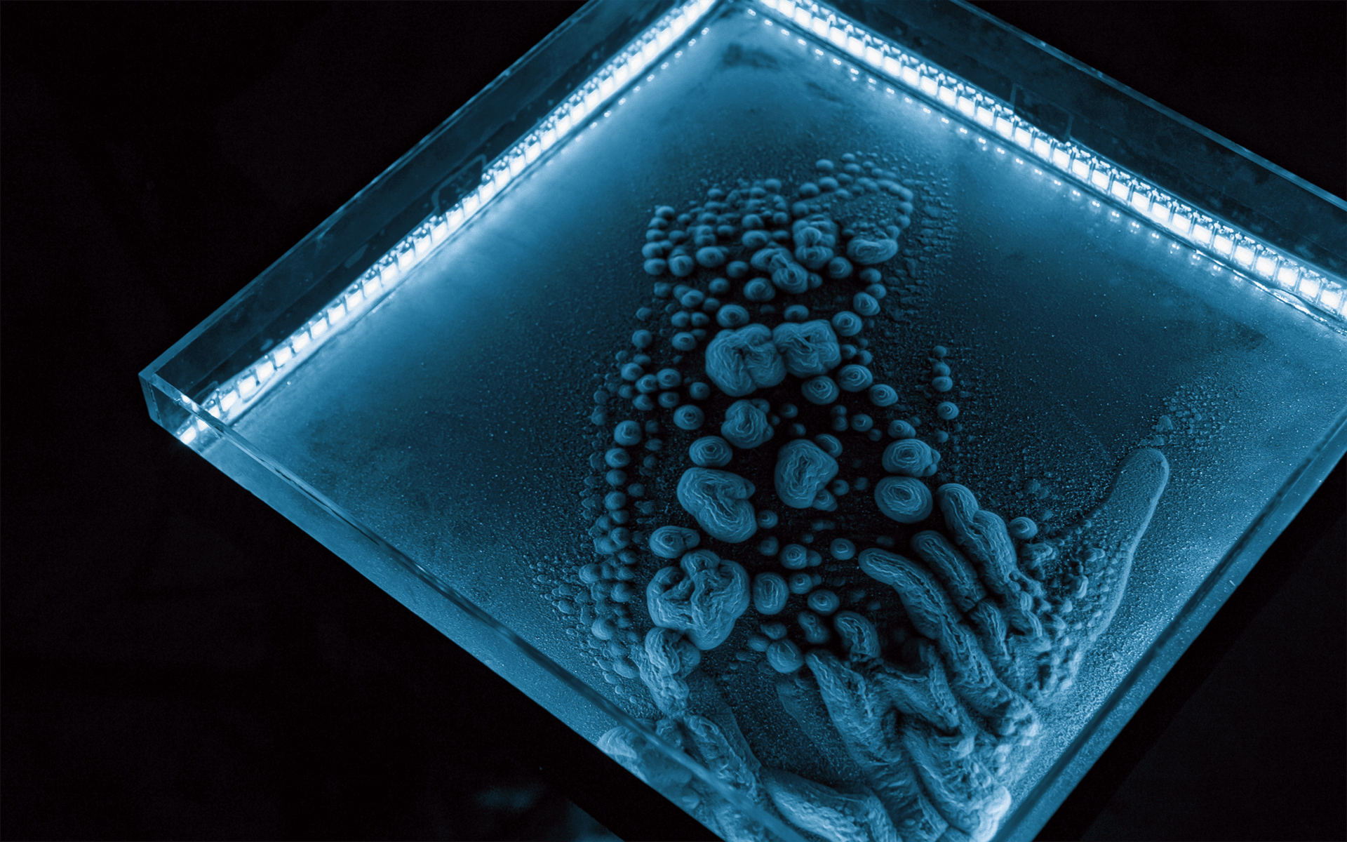 close view of some powder on a acrylic plate, with blue light around the installation