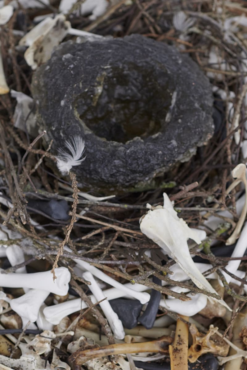 empty glass nest surrounded by intertwining twigs, bones and black and white porcelain bones