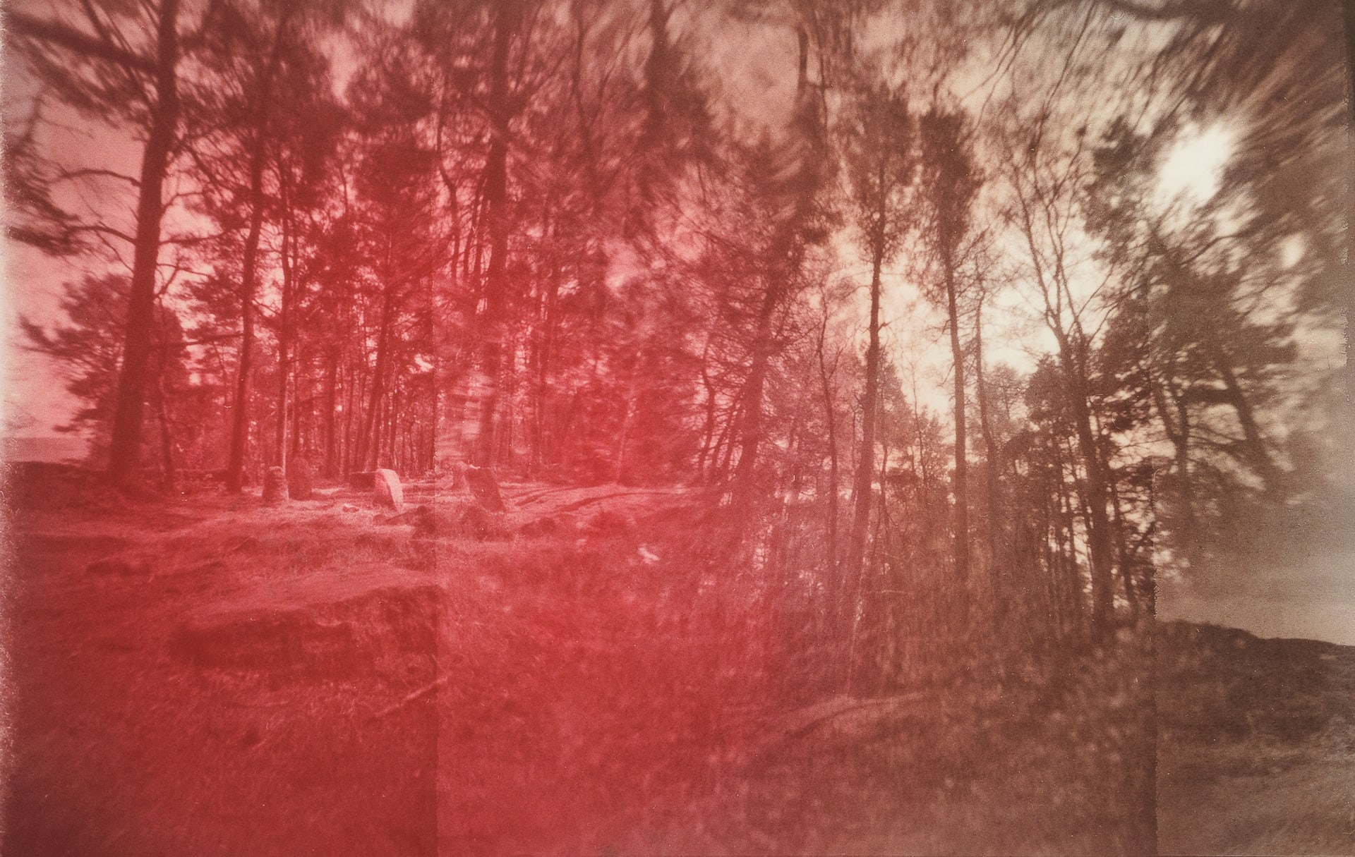 A woodlands scene. In the foreground sits a small stone circle coloured red blending to the deep browns of the trees behind.