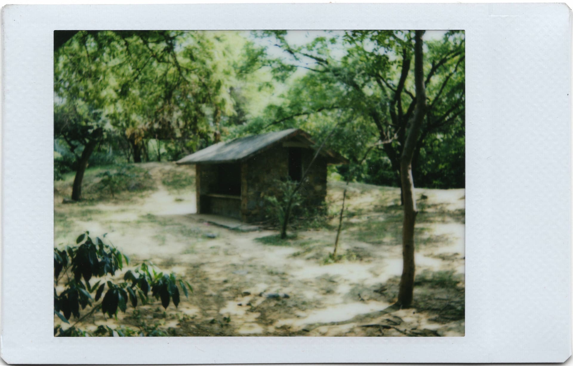 a small shack in a wooded area