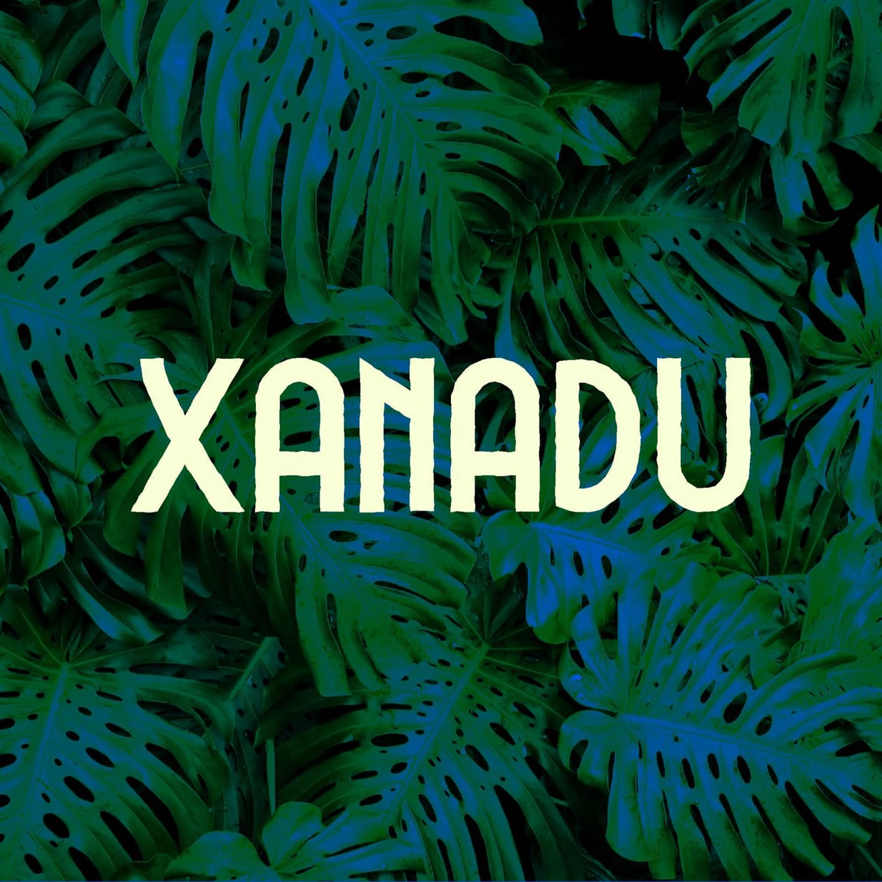 Logo of Xanadu project containing yellow text and plant leaves behind