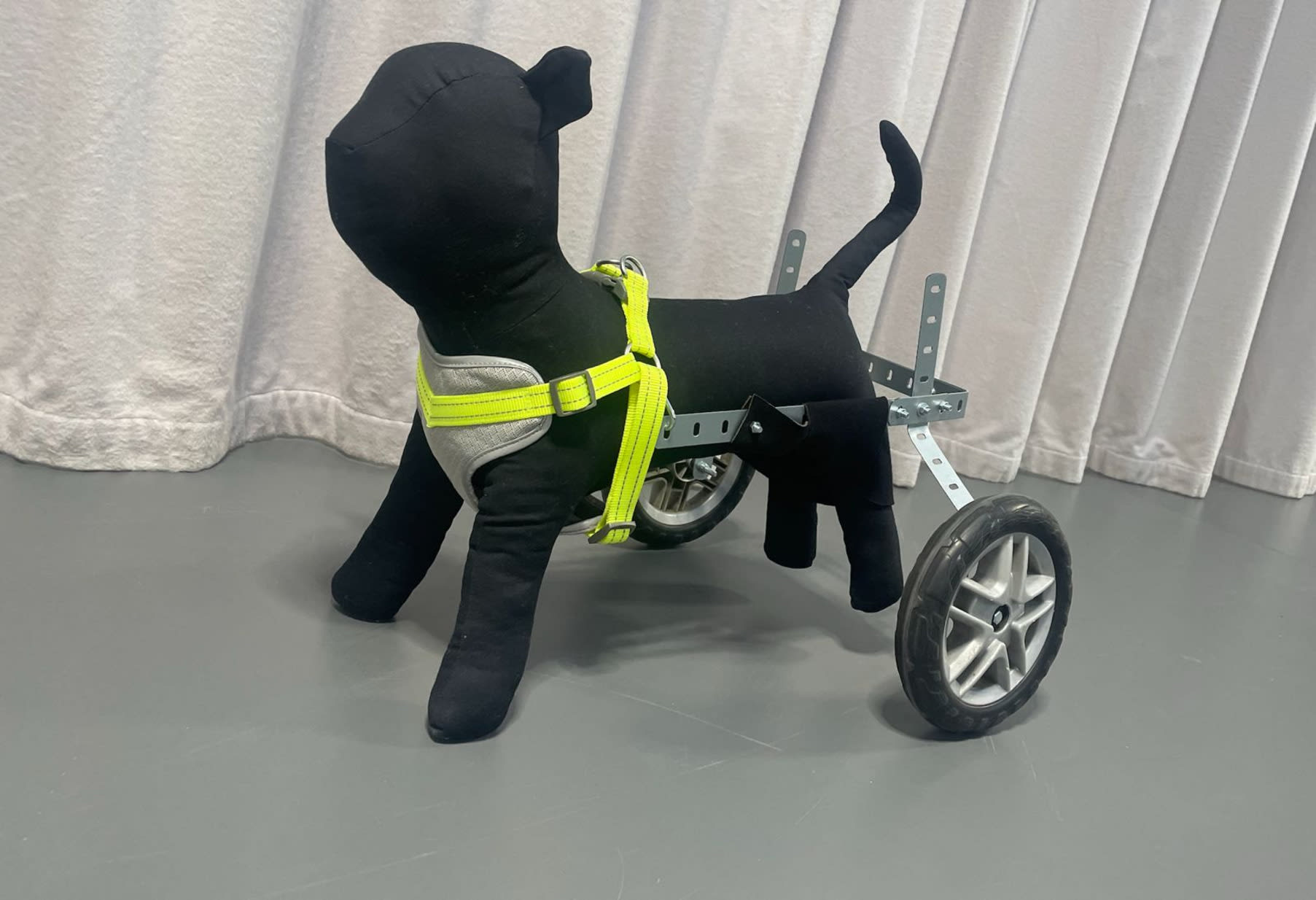 Image of final prototype of the adjustable wheelchair for dogs with a stuffed dog model and a green dog harness.