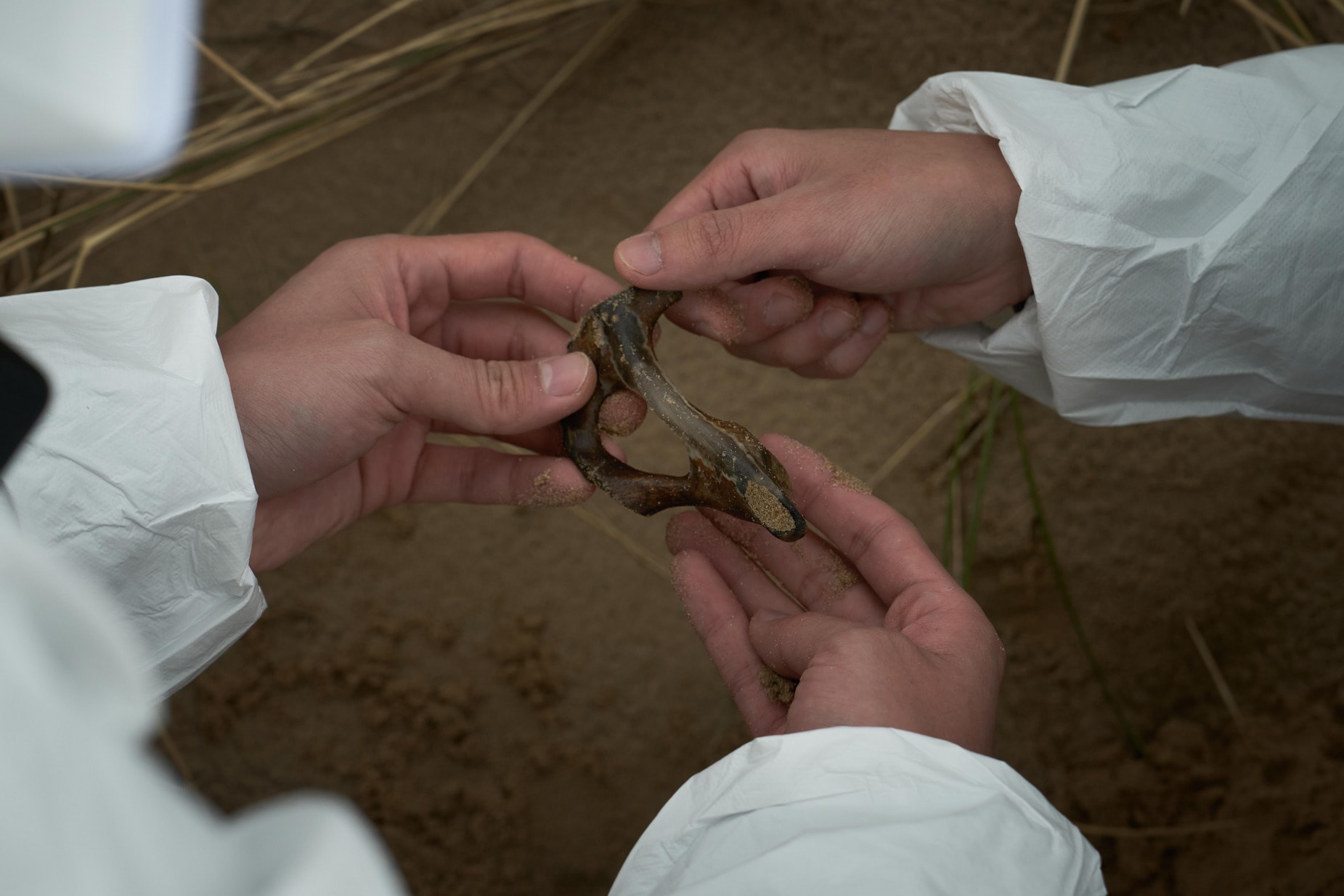 Combining different plastic materials with the biological skeleton and testing different fusion techniques.