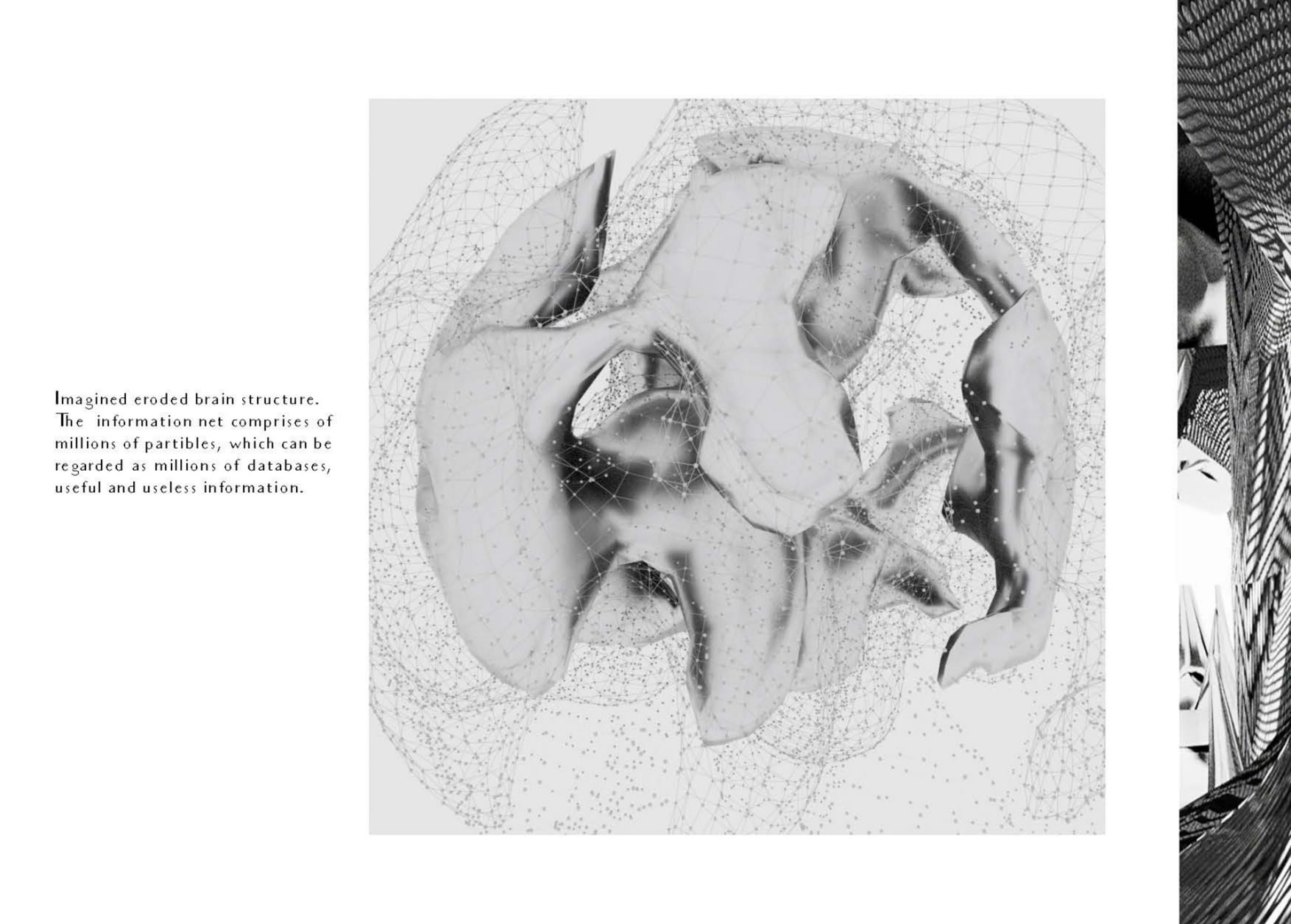 Imagined eroded brain structure.