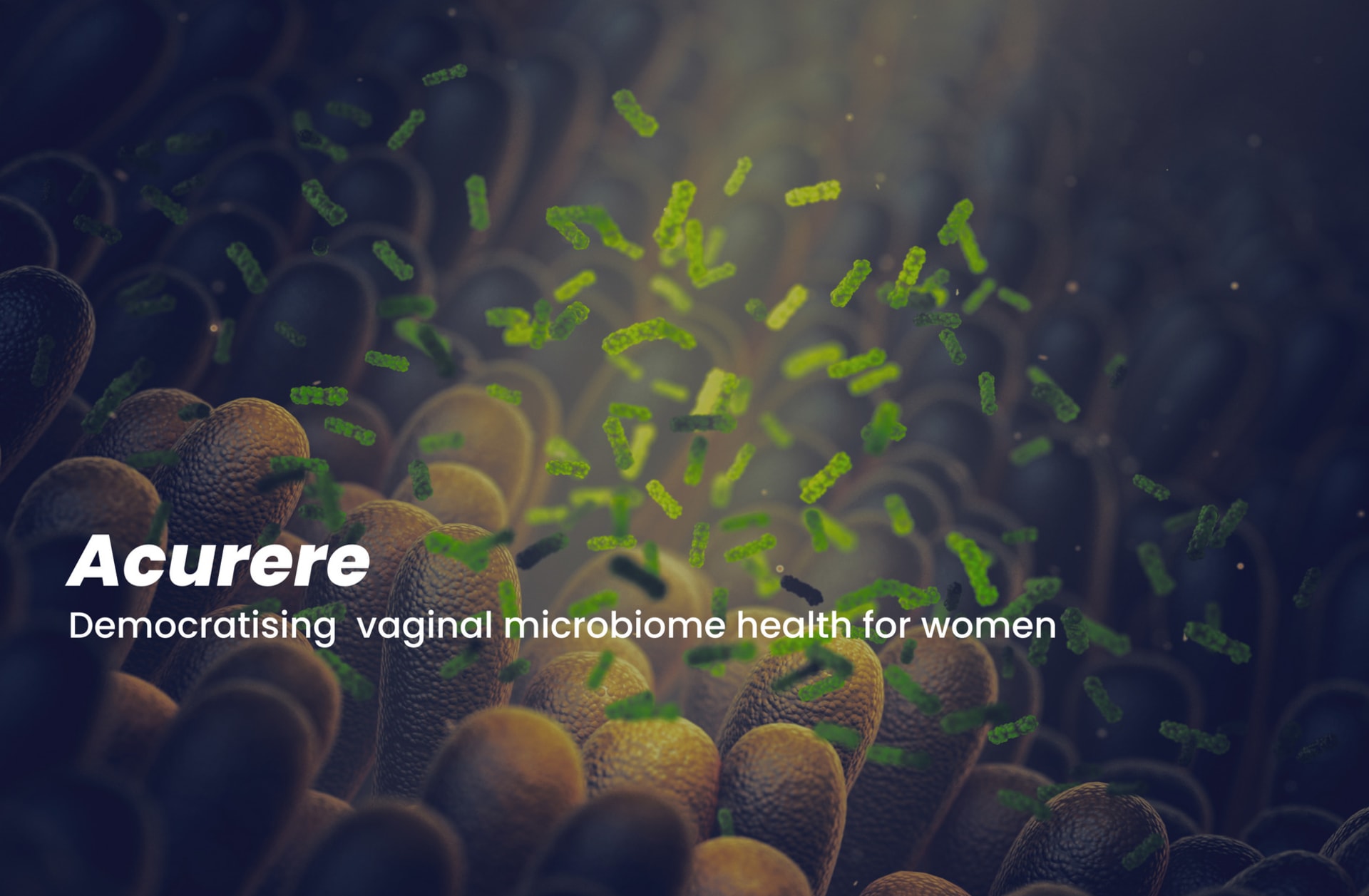 Poster image of microbiome, project name: Acurere, democratising vaginal microbiome health for women.