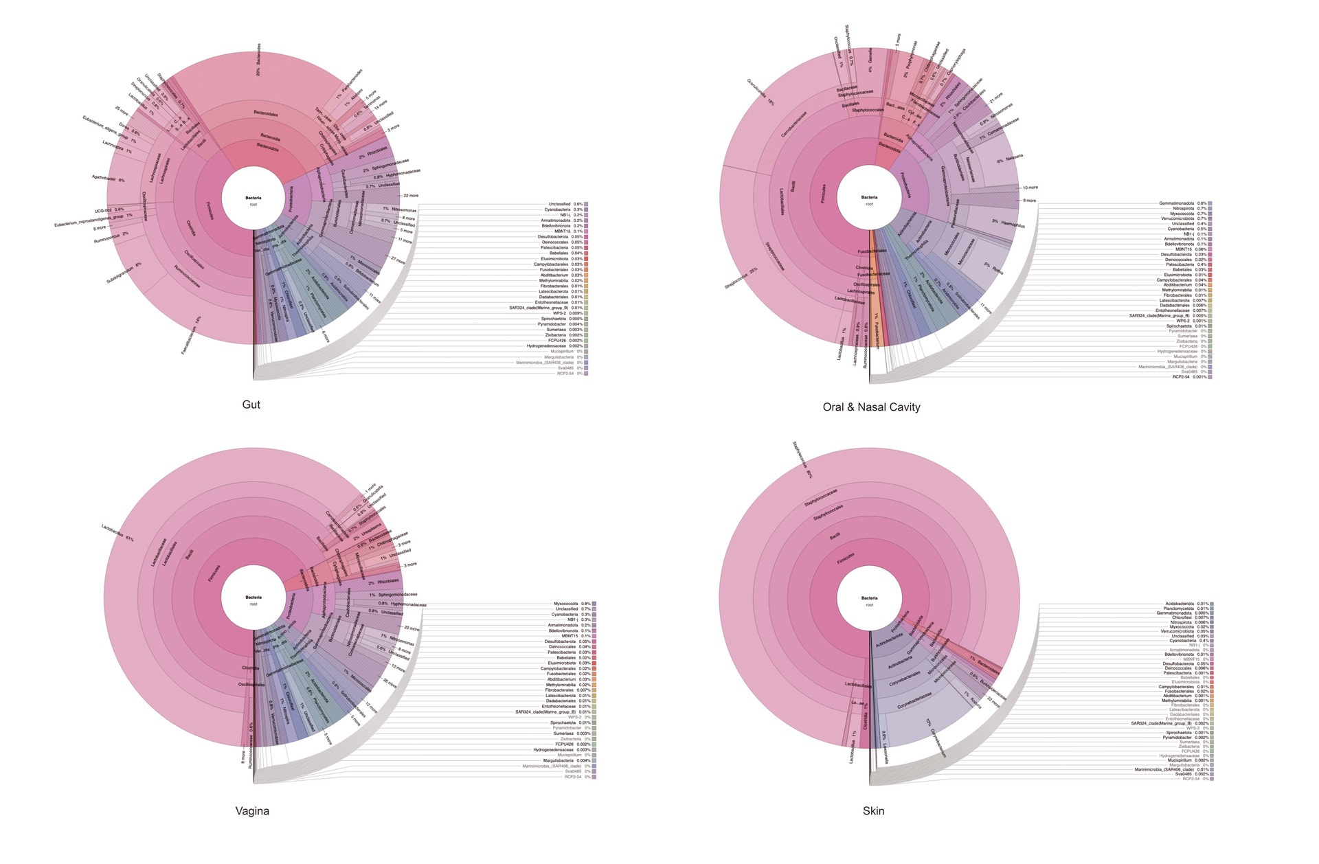 Bacteria Composition