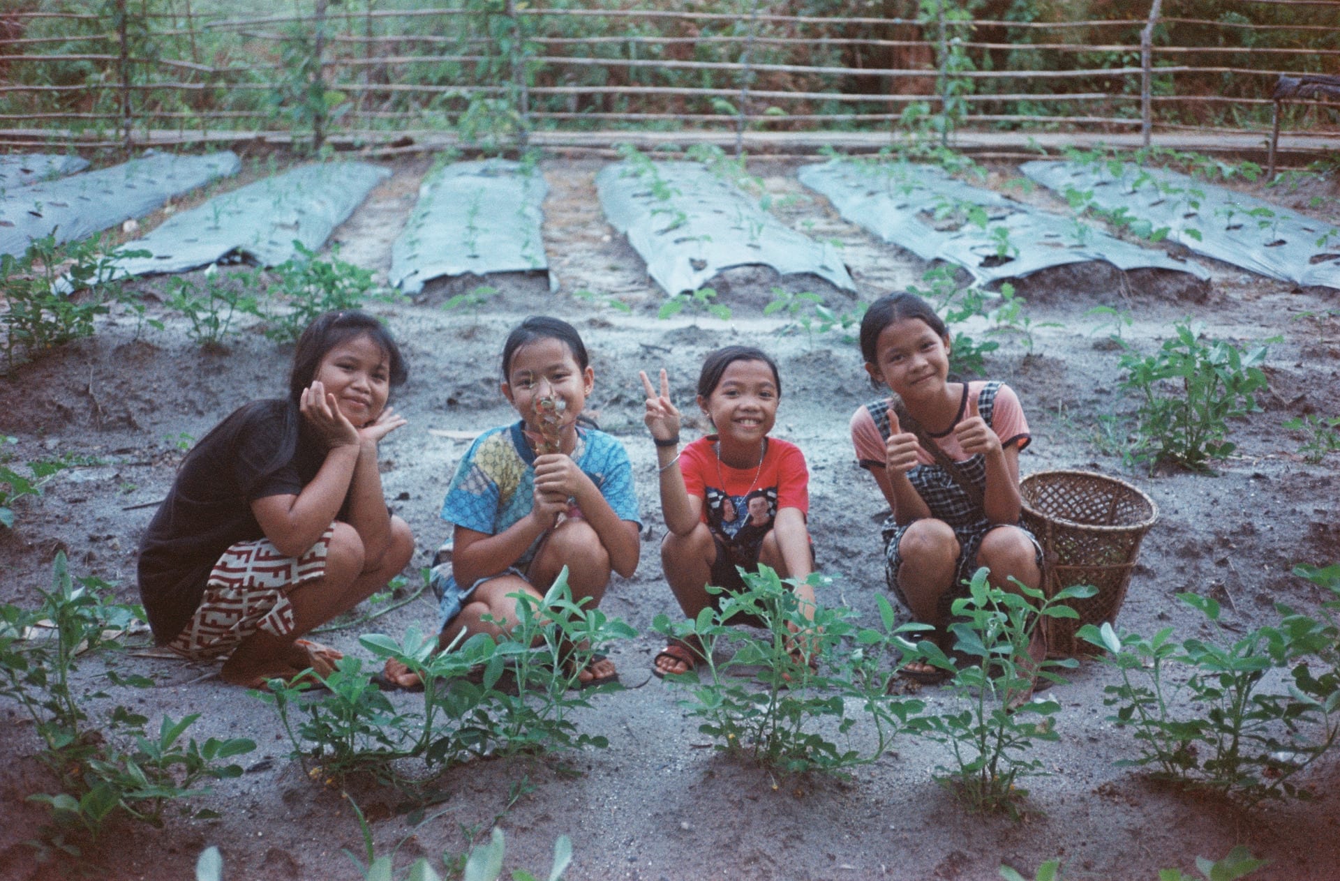 Arus Kualan pupils at the plant nursery