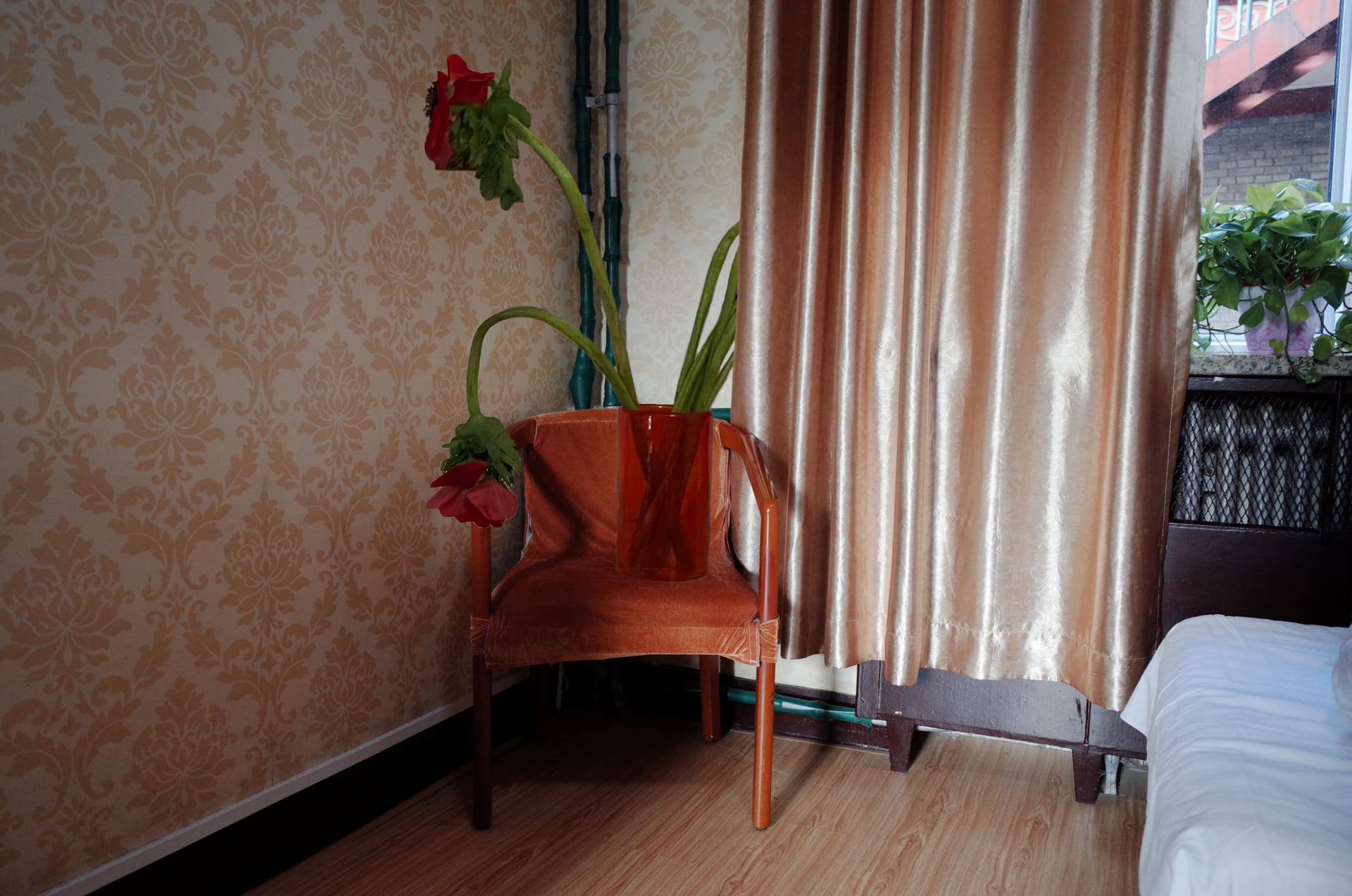 a flower sitting on a chair