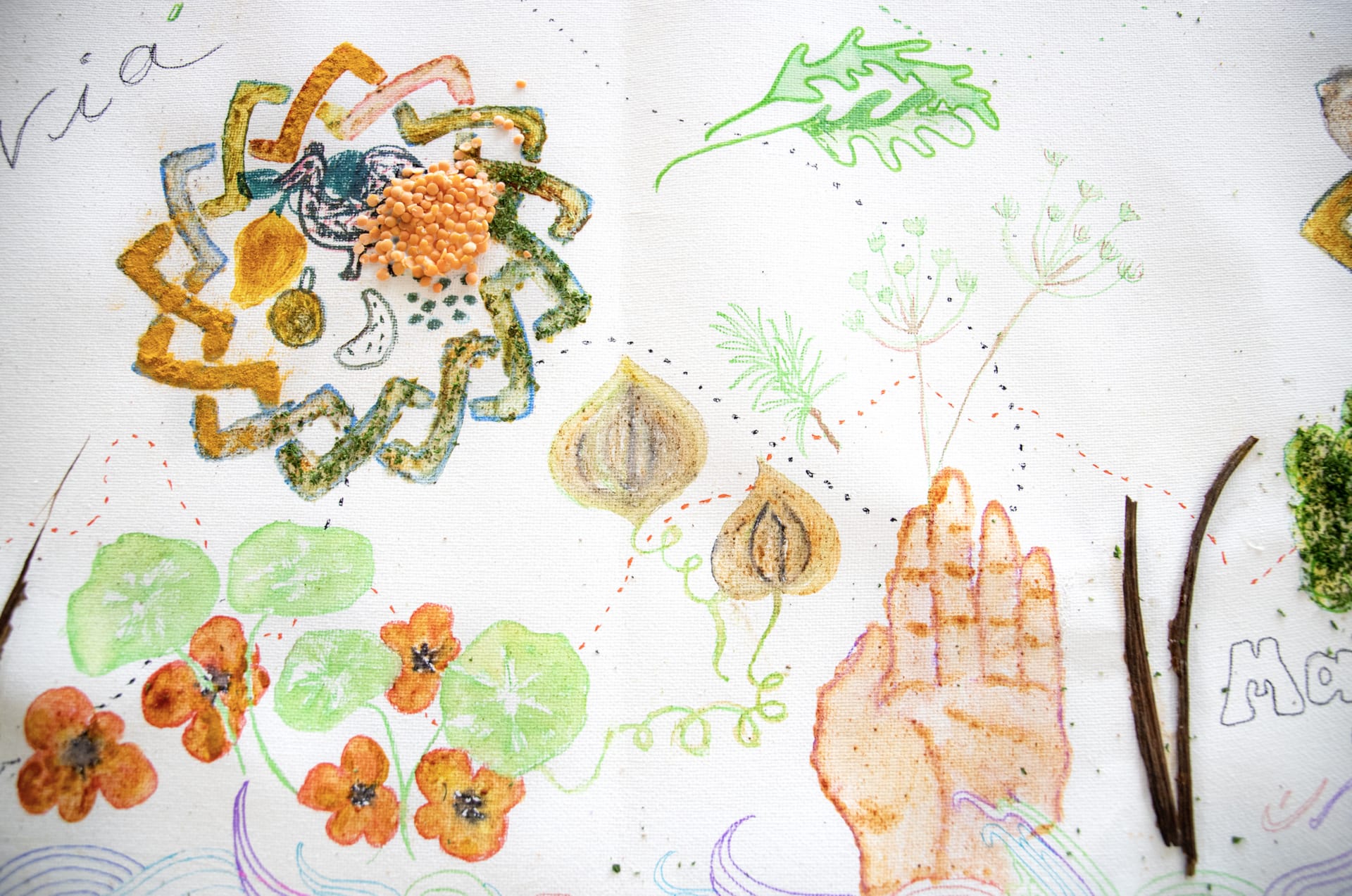 A table runner o drawings with lentils and spices showing hands, plants, water and food.
