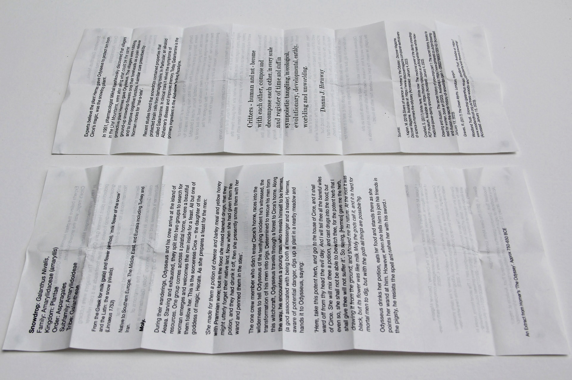 two folded out rectangular printed leaflets lying flat next to each other on a table top