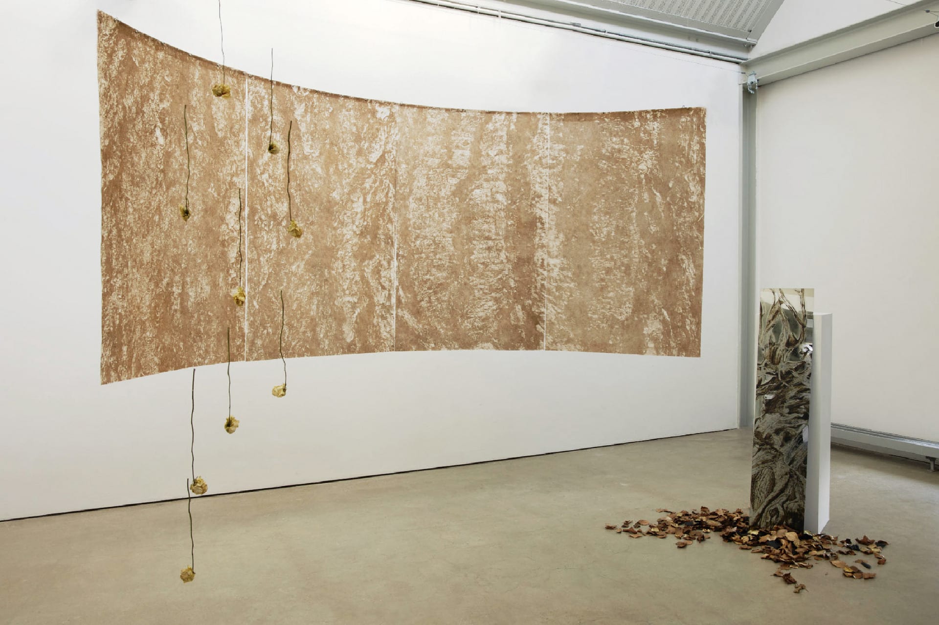 installation with suspended screenprint, hanging roses, floor-standing mirror with print on surface, leaves on the floor 