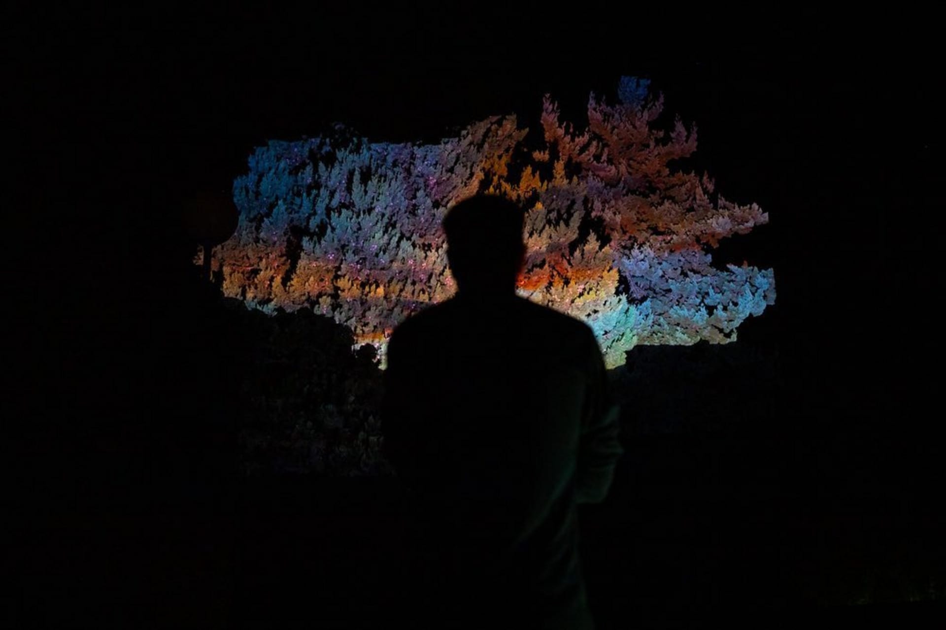 A silhouette of a person standing in front of an outdoor film projection cast onto a landscape.