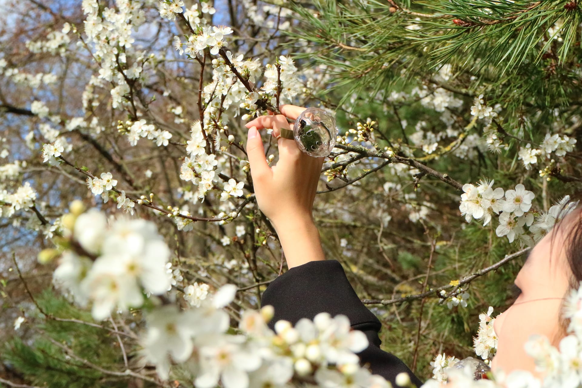 An image of INTIMACY, one of our concept jewellery pieces creating for humans and nature.