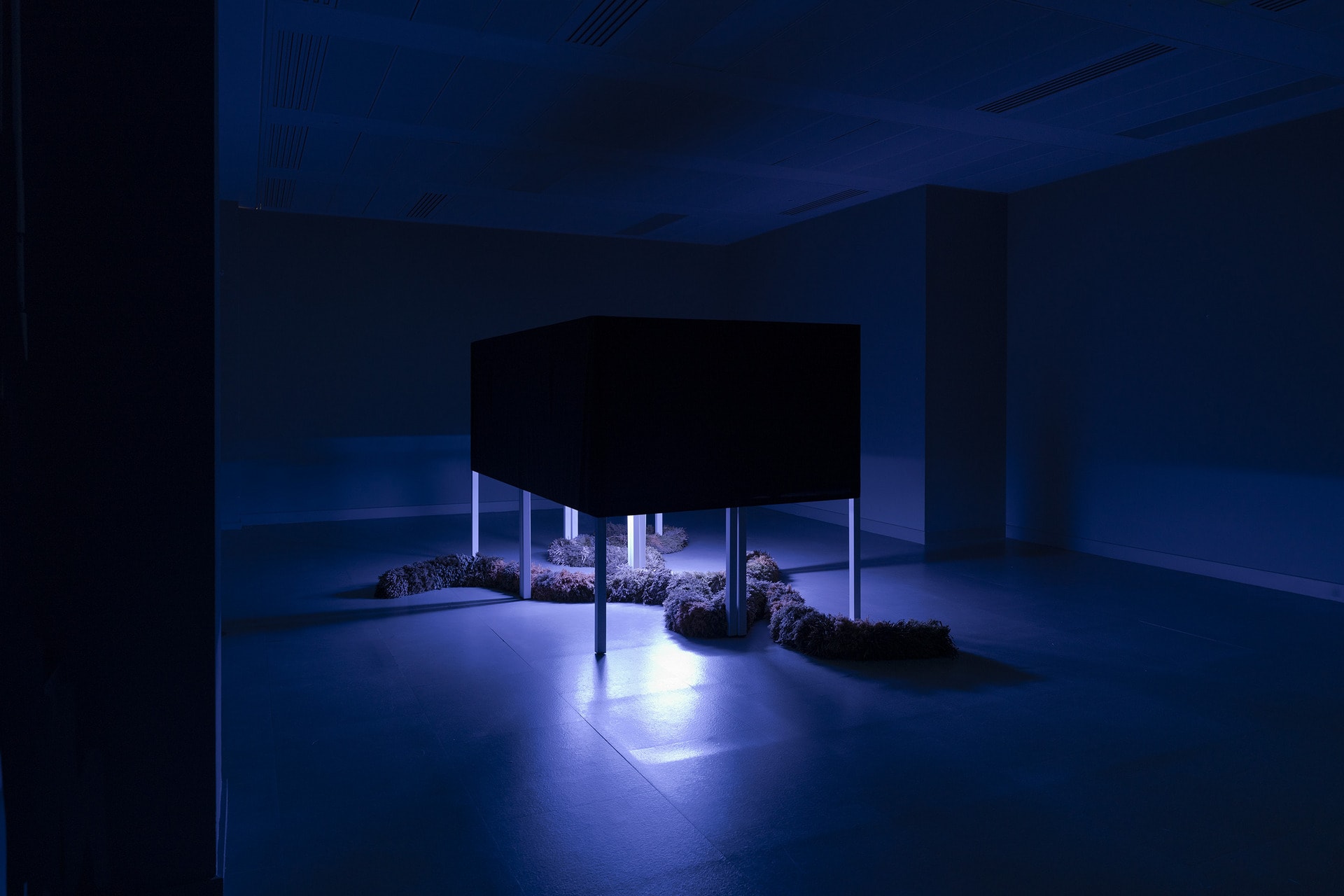 Dark room with a purple light source illuminating a central installation box, surrounded by textile art pieces. 