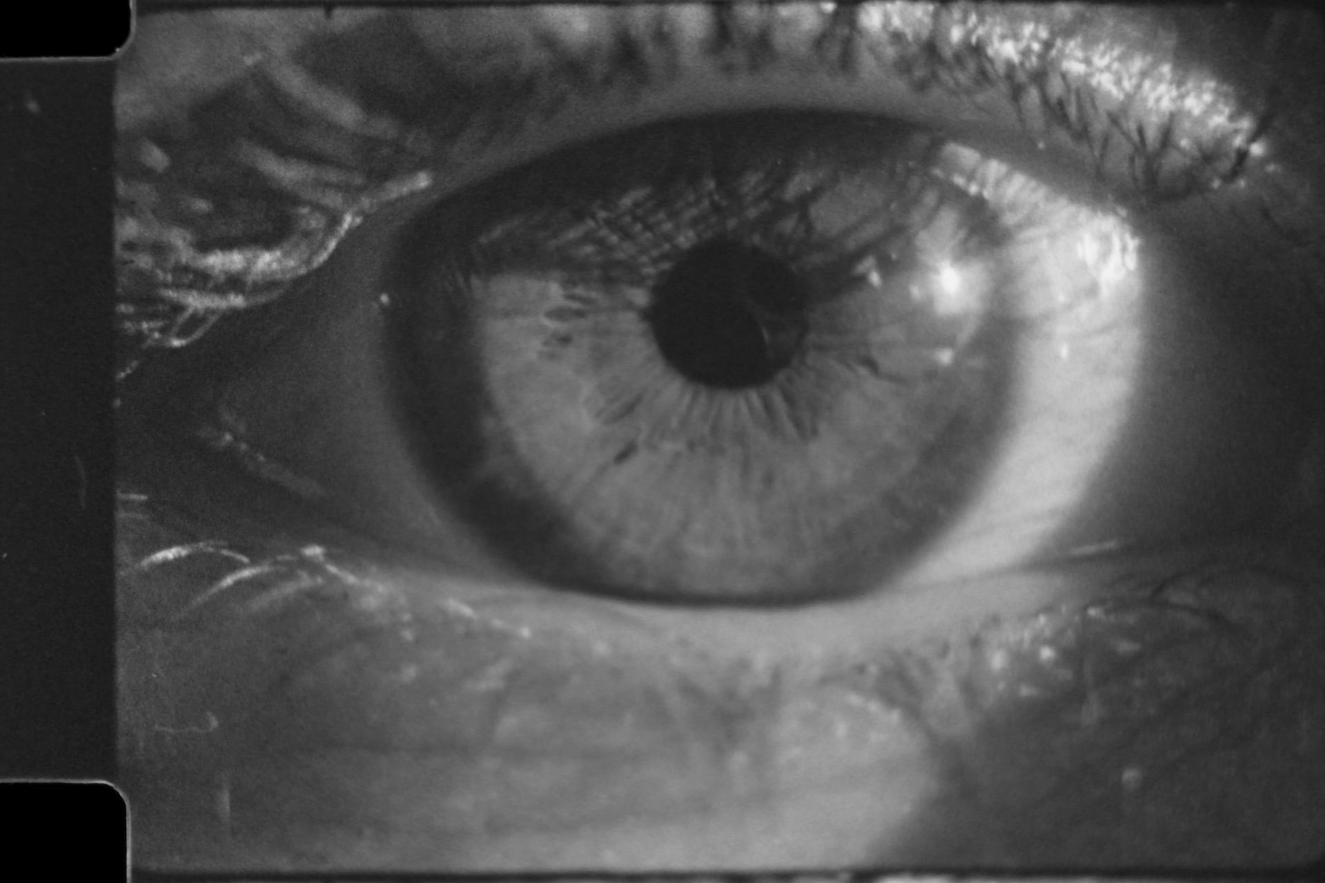 Ocularcentrism; pupils as 'indicators'; 'Presence' through the Screen