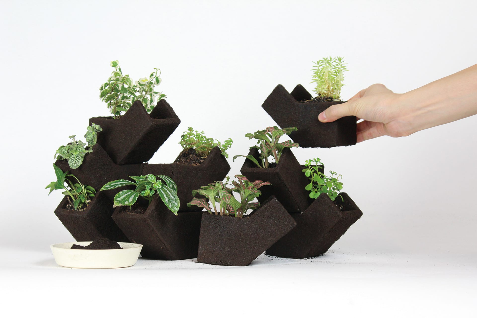 It is your vertical garden.